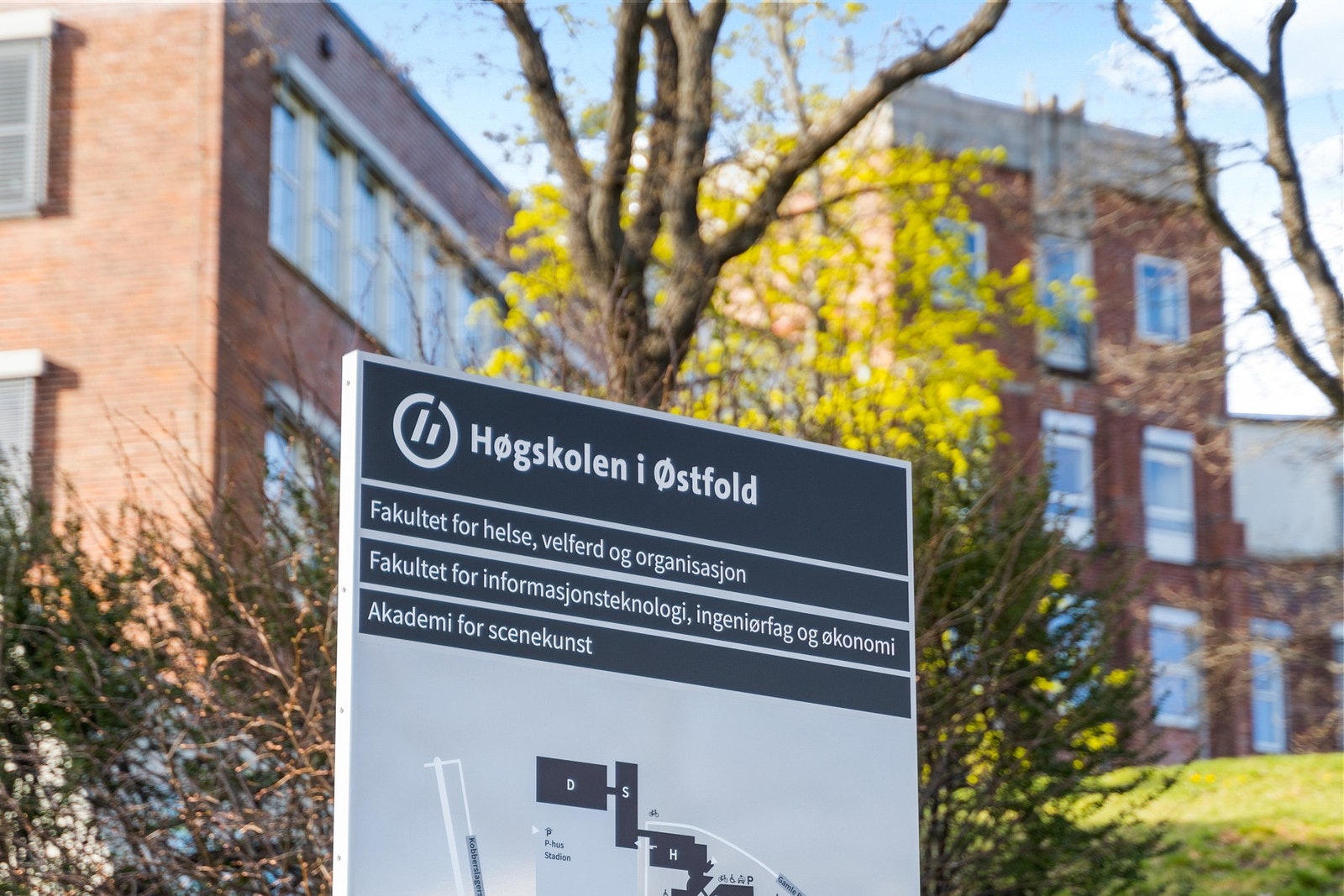 Høyskolen på Værste ligger i sykkelavstand. Galleribilde