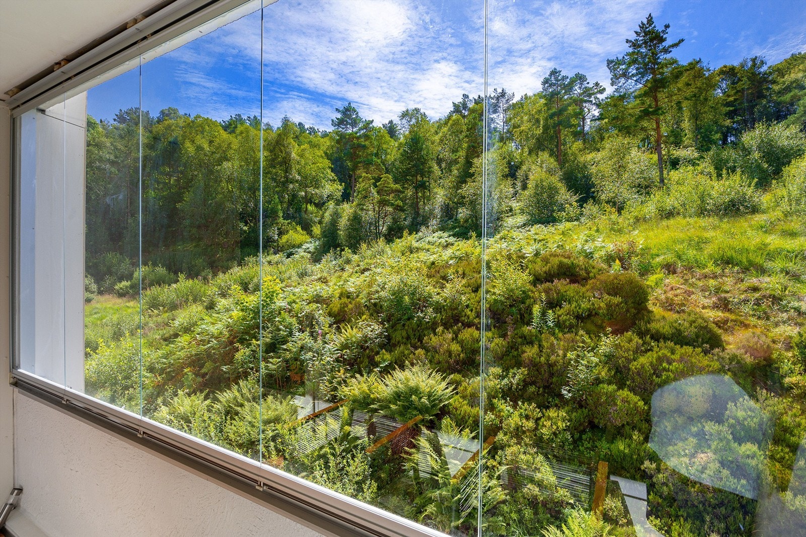 Fin utsikt mot skogholtet fra balkongen Galleribilde