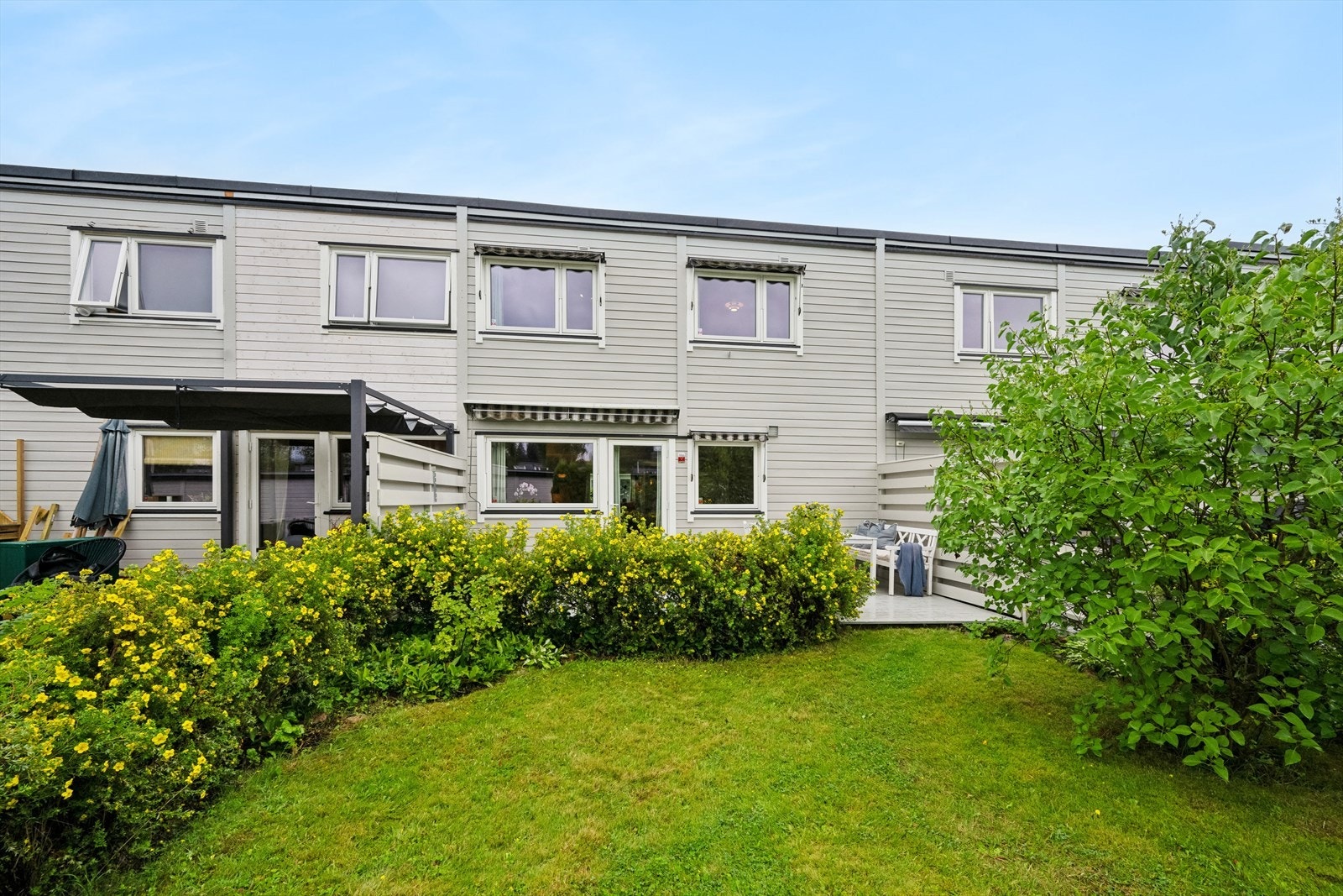 Stor hageparsell. Galleribilde