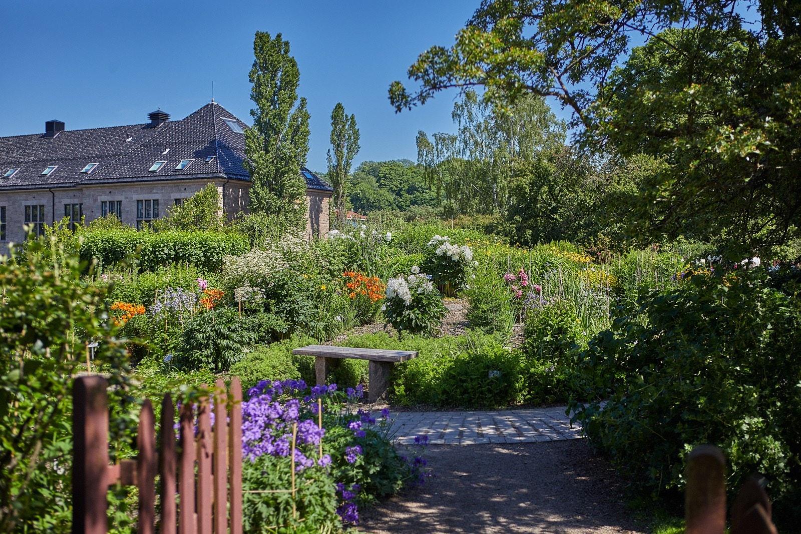 Botanisk hage ligger i nabolaget. Galleribilde