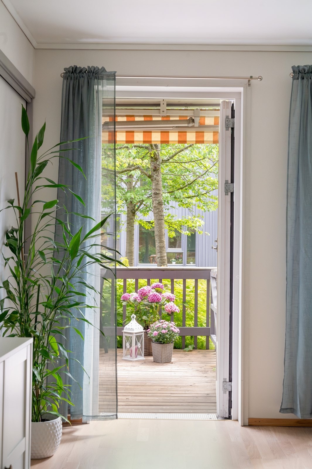 Rusle ut på sin terrasse Galleribilde