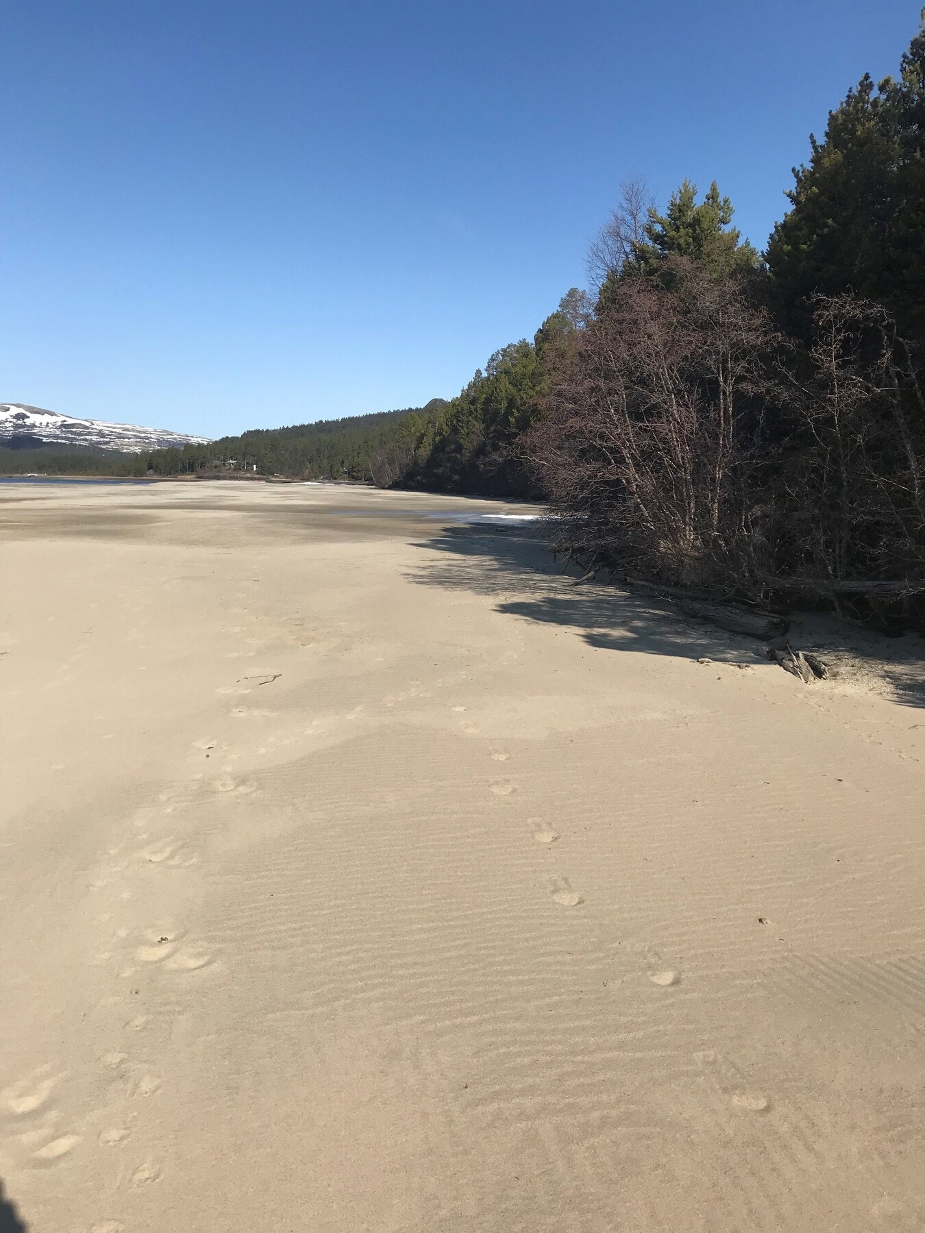Selgers bilde - Sandbunnen ved Savalensjøen like ved hytta Galleribilde