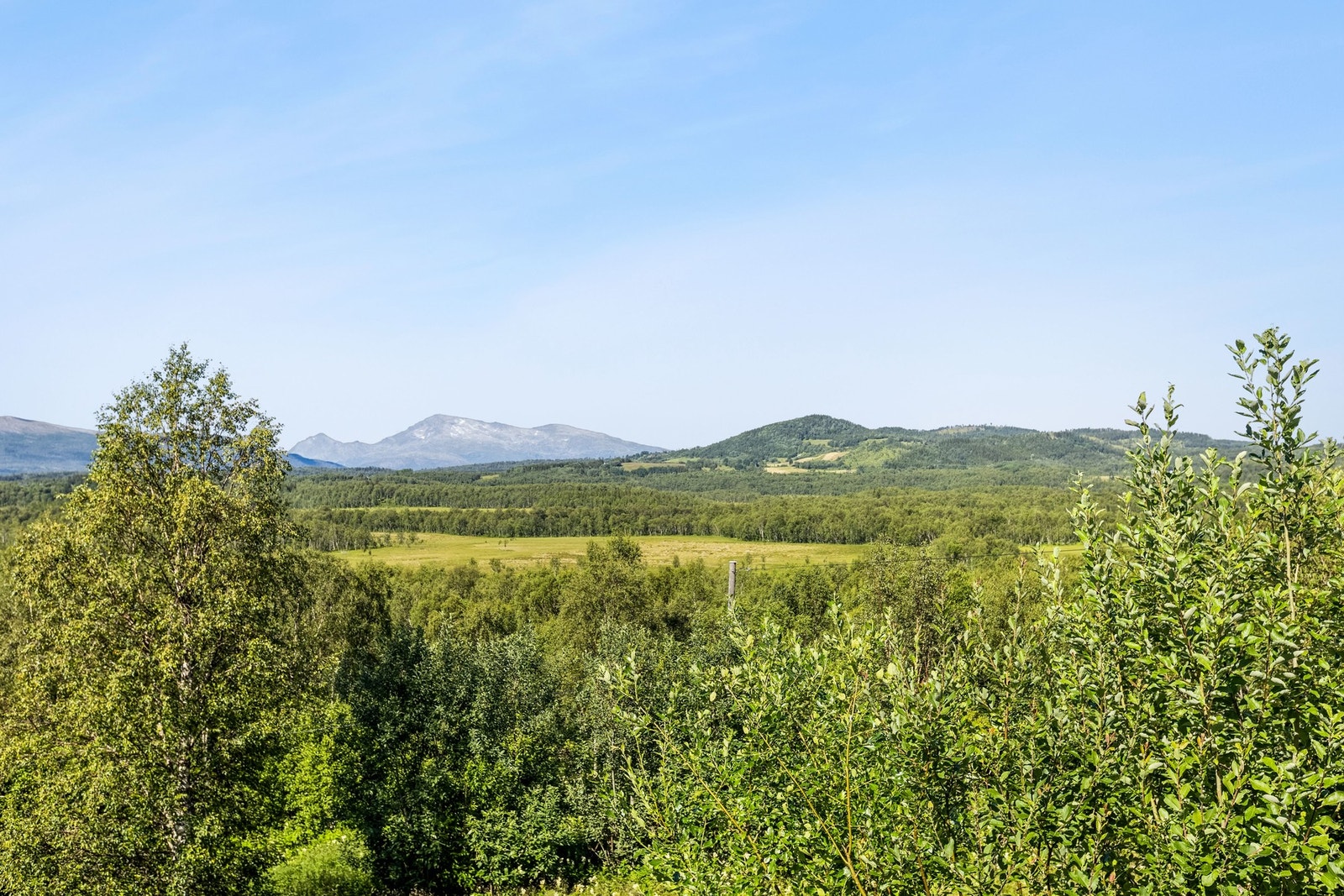 Sjekk den utsikten! Galleribilde