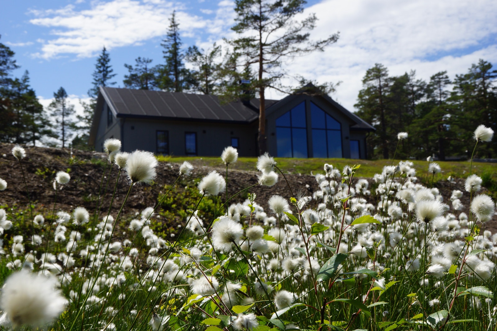 Moderne hytte i Sjuvasslia Fjellpark - Eksklusiv hytte med panoramavinduer og unik utsikt! Galleribilde