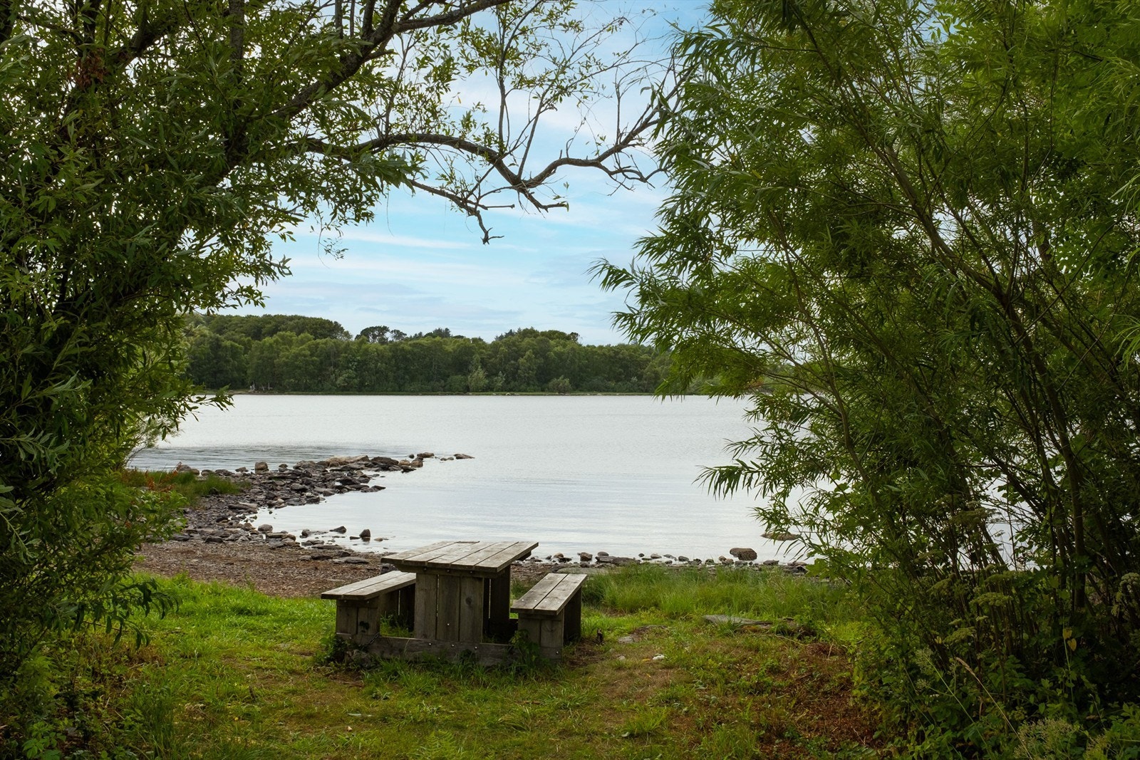 Nærområdet Galleribilde