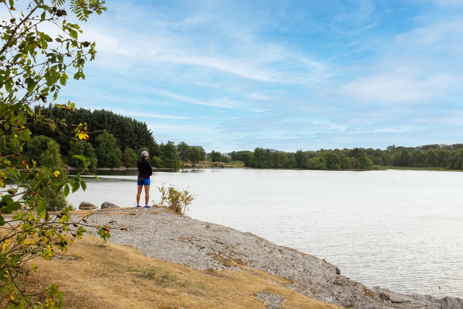 Nærområdet Galleribilde