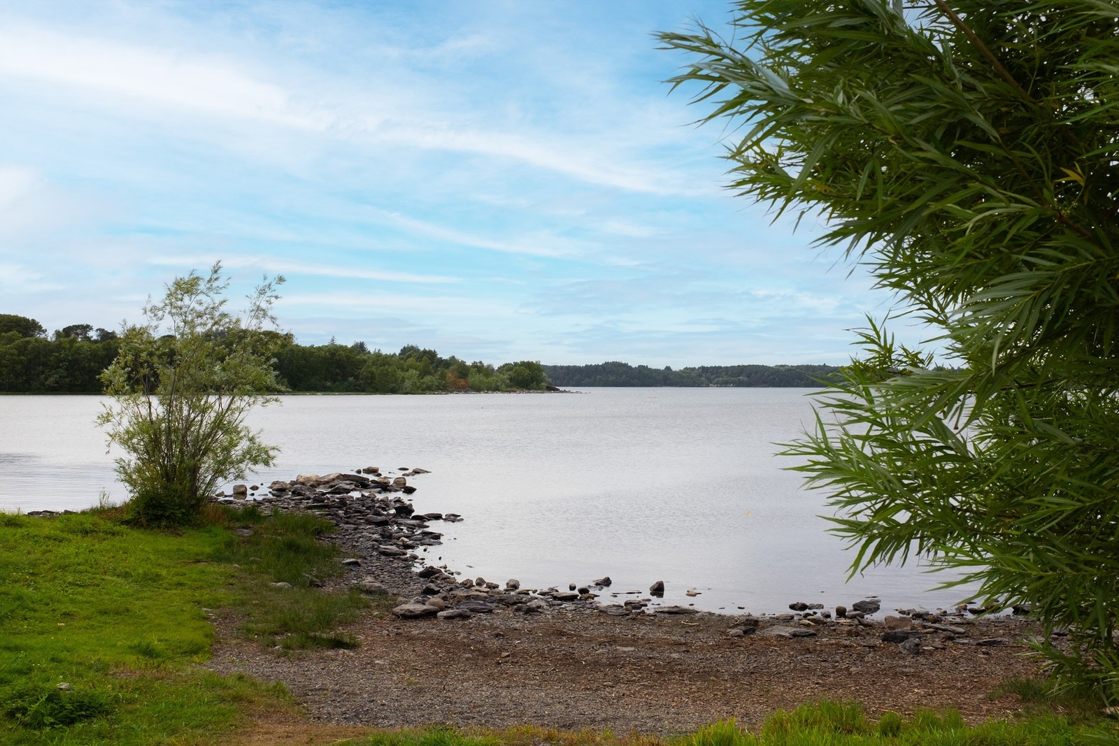 Nærområdet Galleribilde