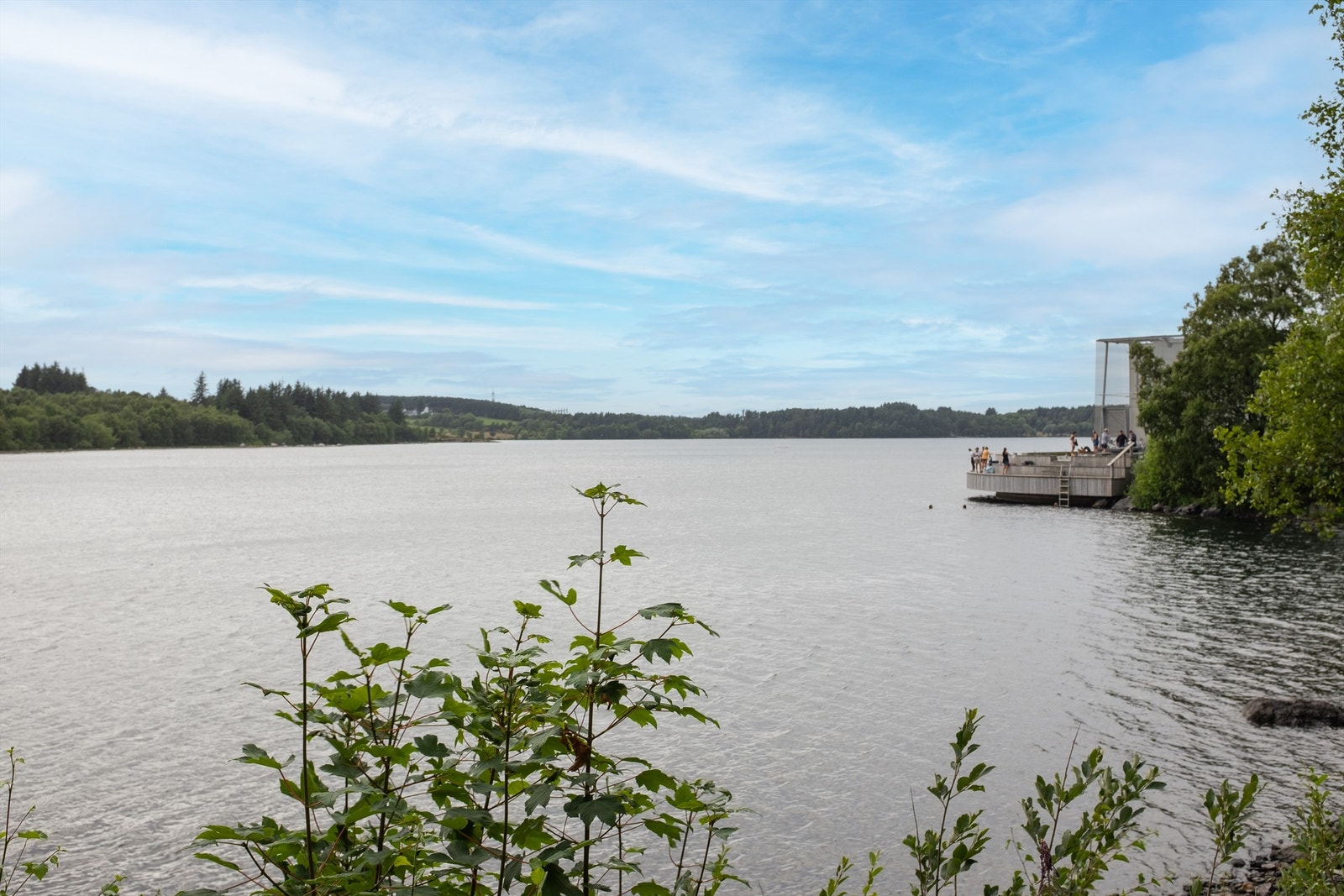 Nærområdet Galleribilde