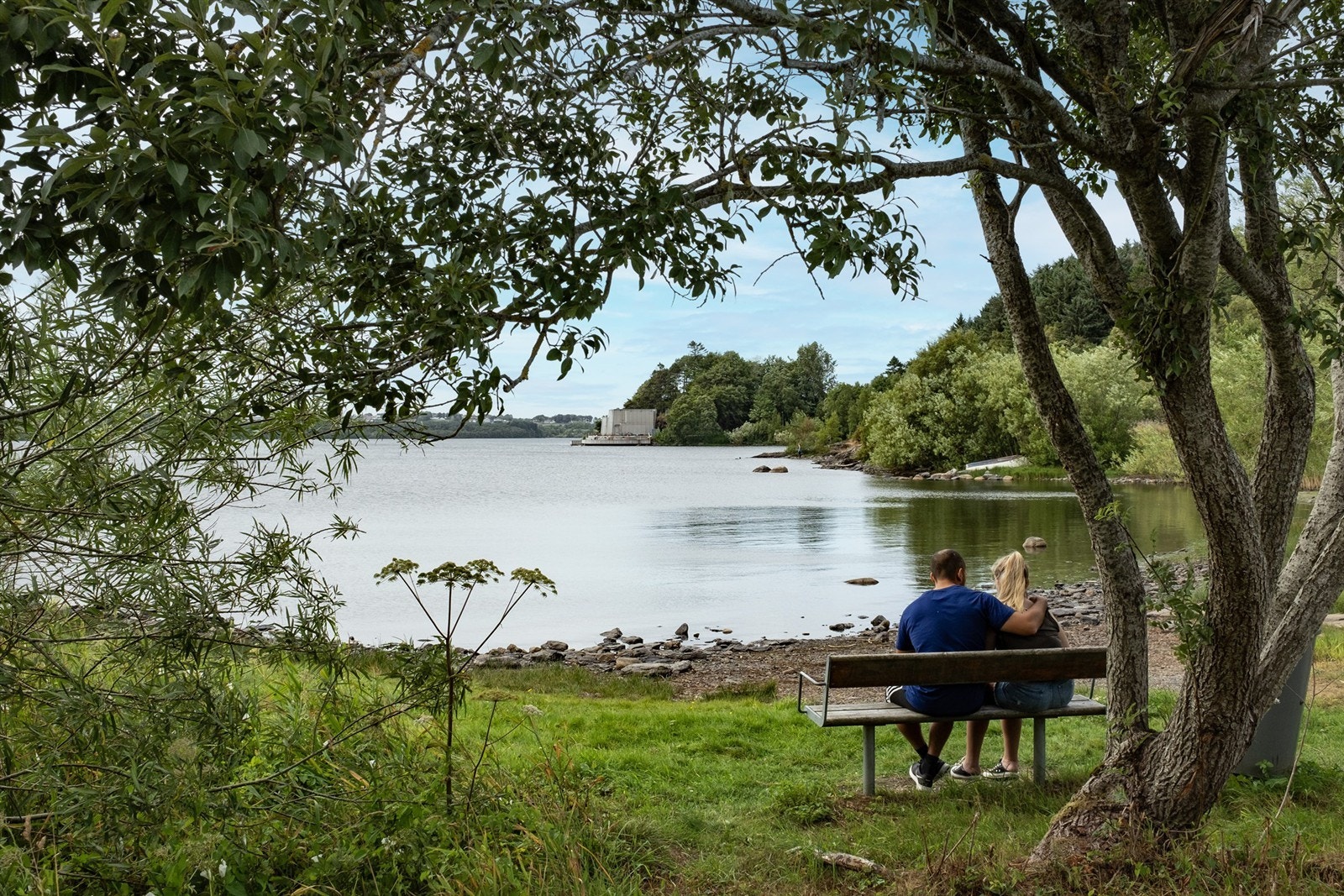 Nærområdet Galleribilde