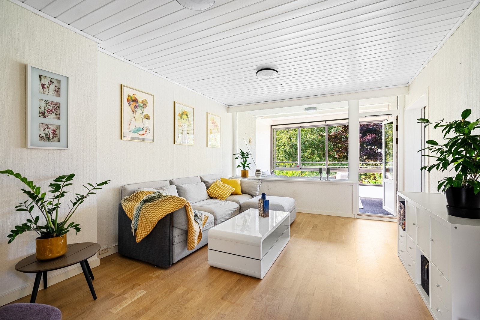 Velkommen til Oscar Omdals gate 4! Galleribilde