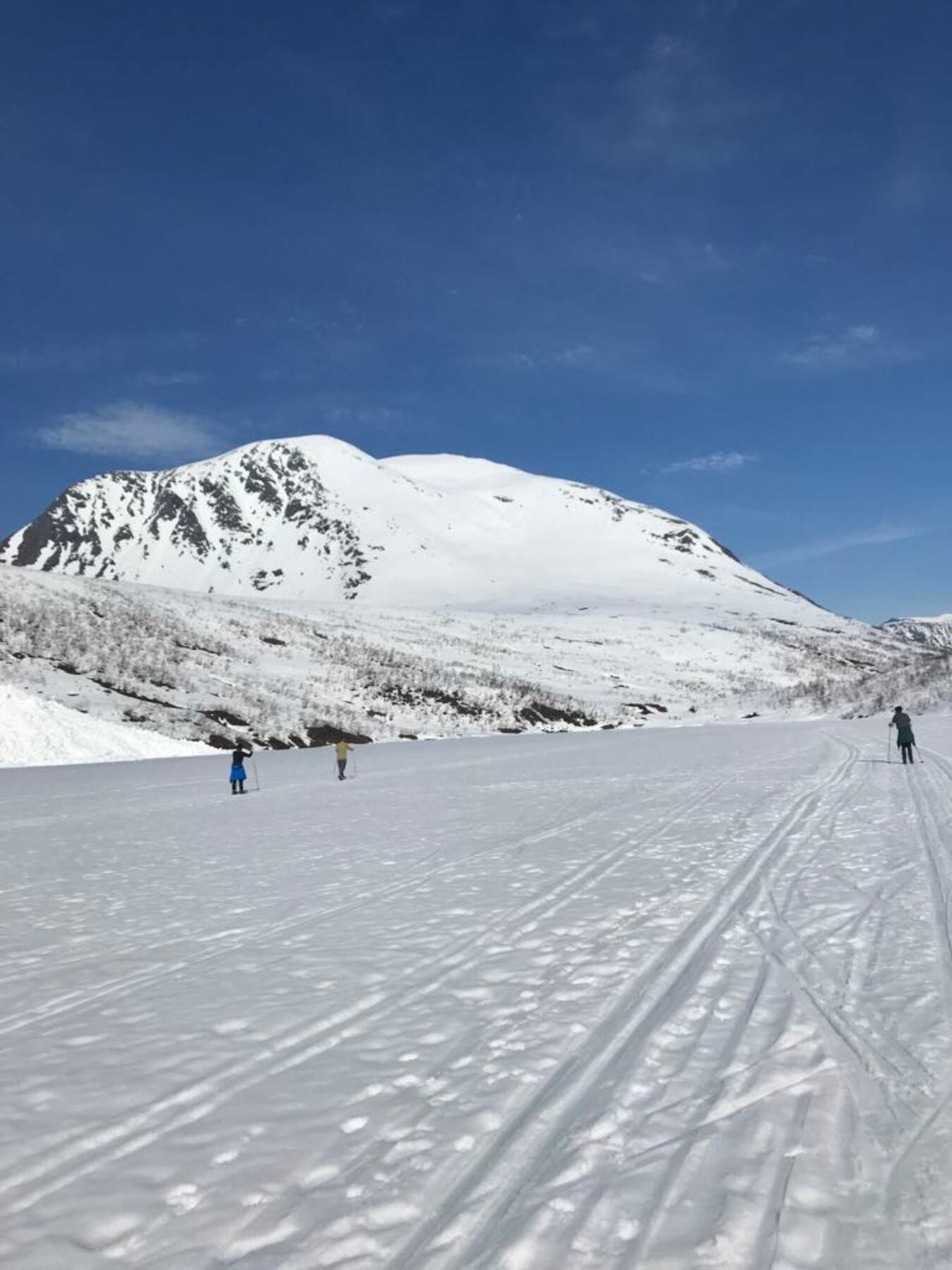 Bilde tatt av selger Galleribilde