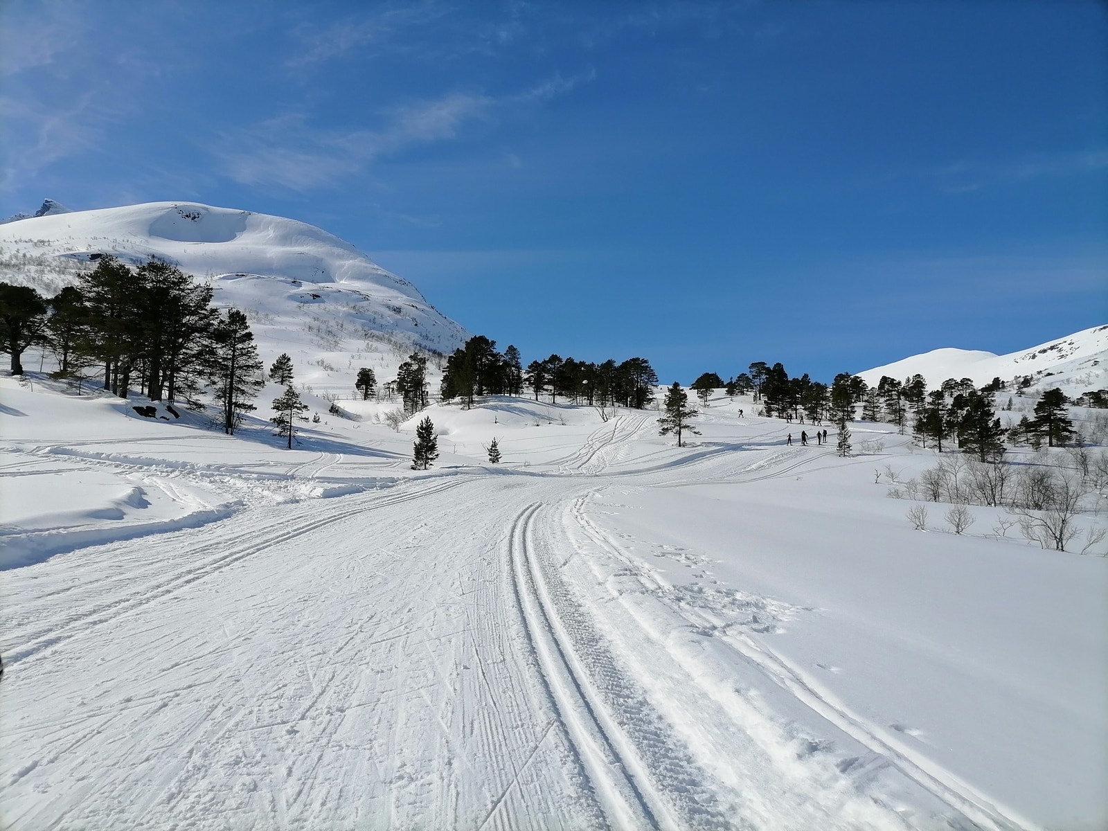 Bilde tatt av selger Galleribilde