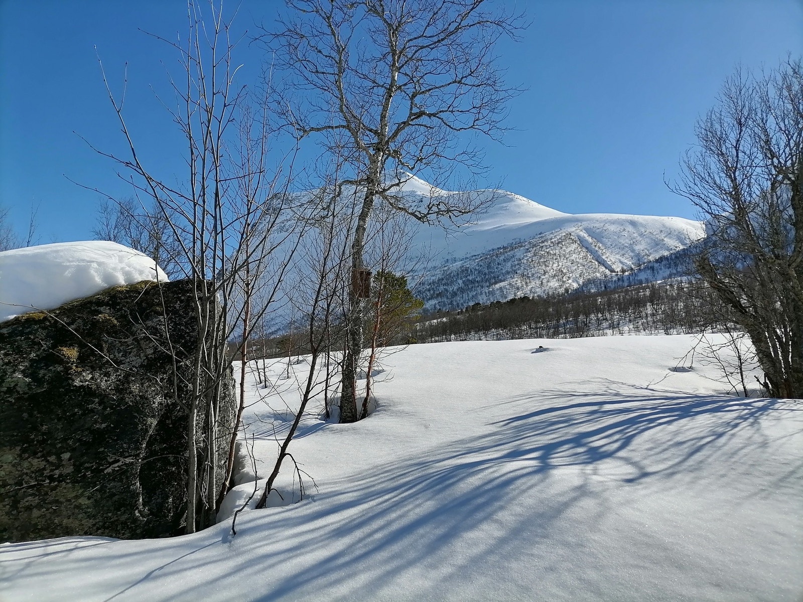 Bilde tatt av selger Galleribilde