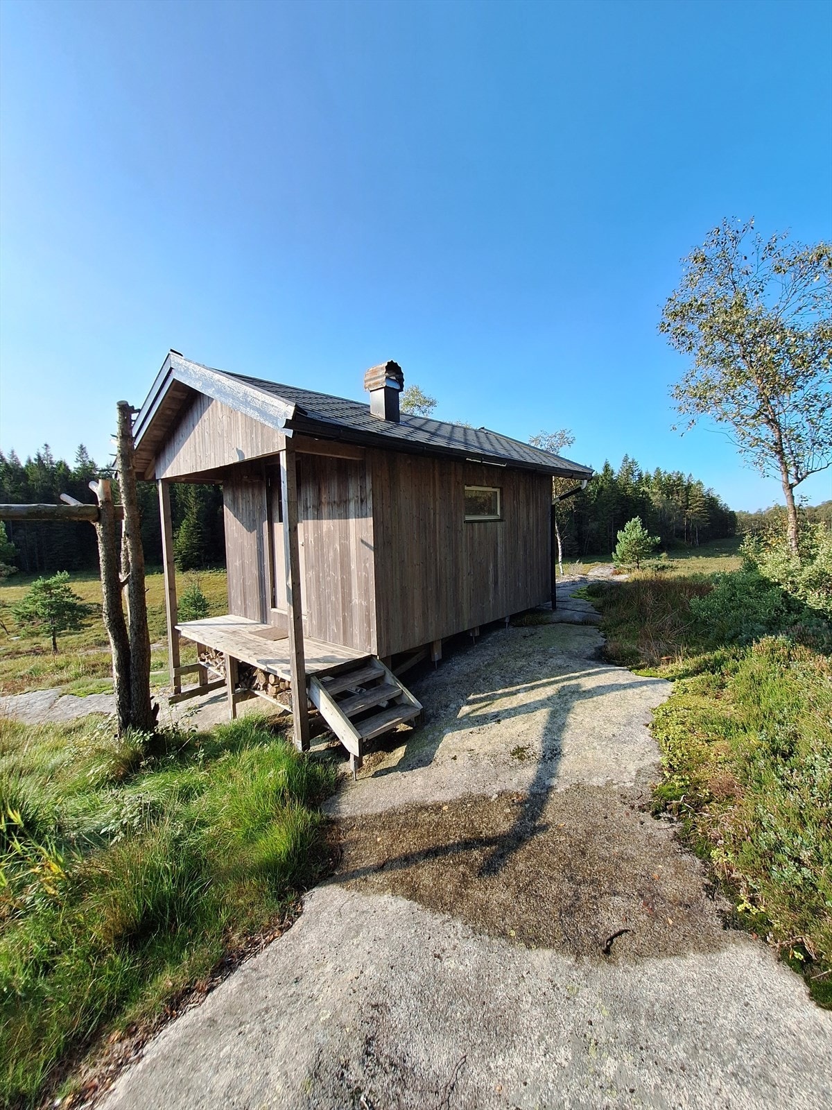 Hytte på heia Galleribilde