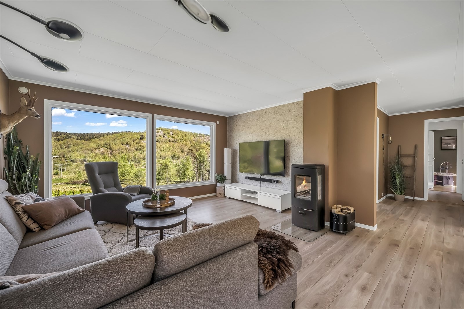 Stue - salong. God peisovn. Galleribilde