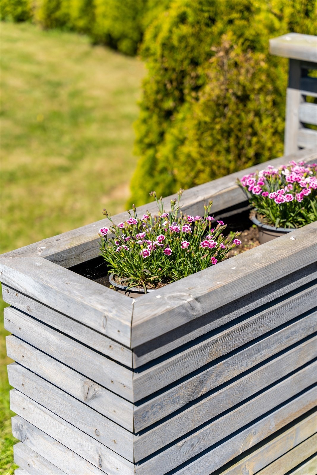 Terrasse Galleribilde