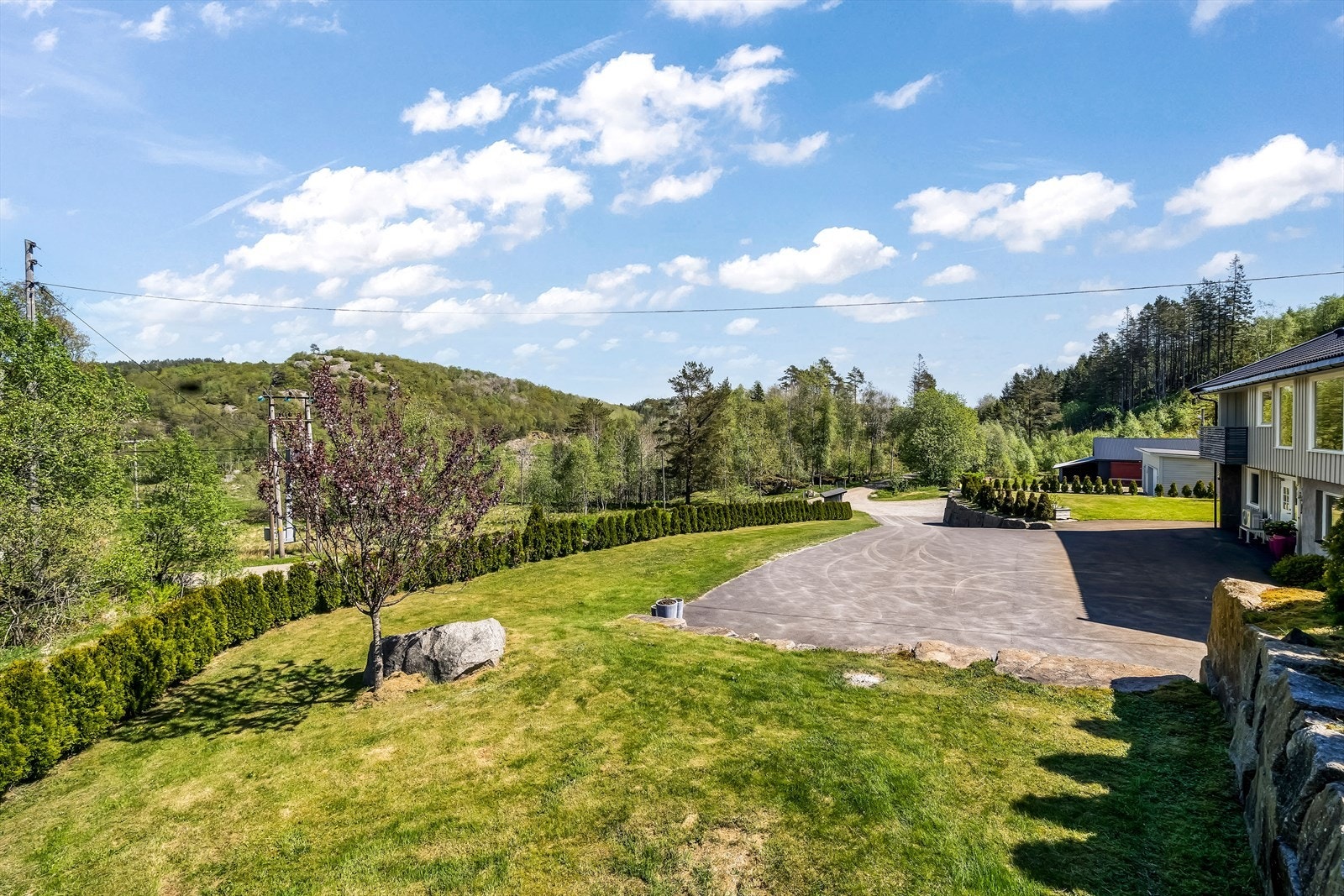 Del av tomten rundt boligen Galleribilde