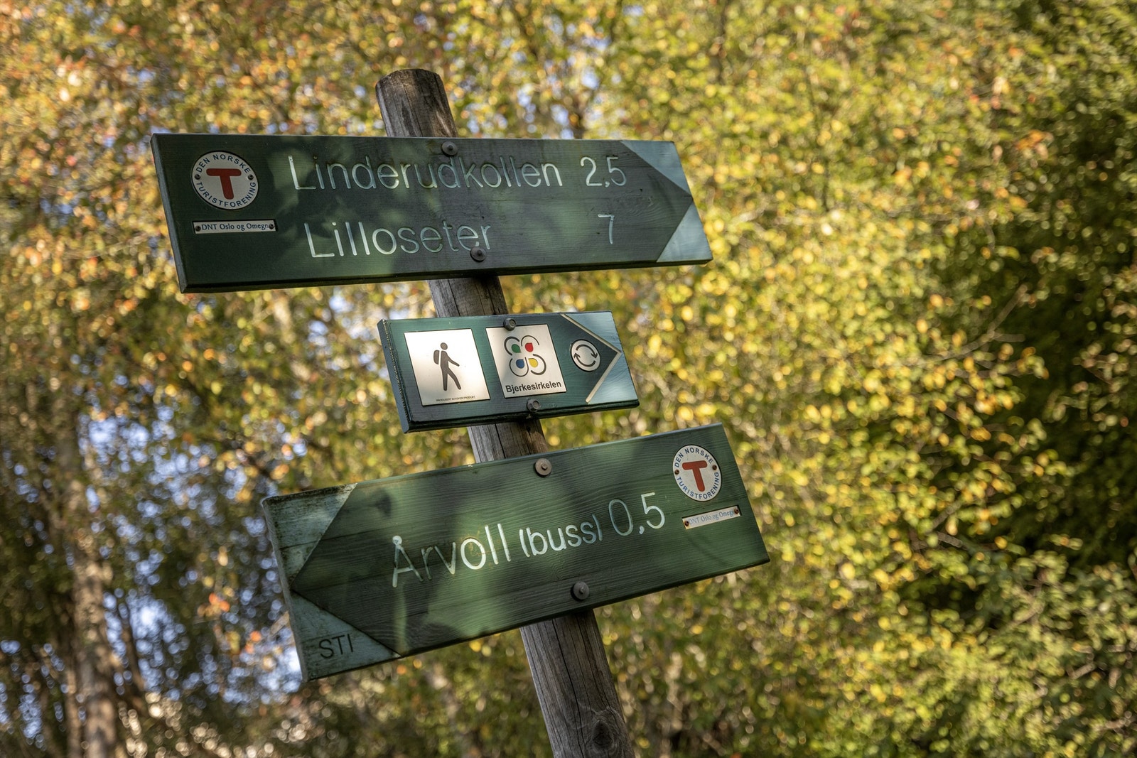 Lillomarka har uttalige turmuligheter Galleribilde