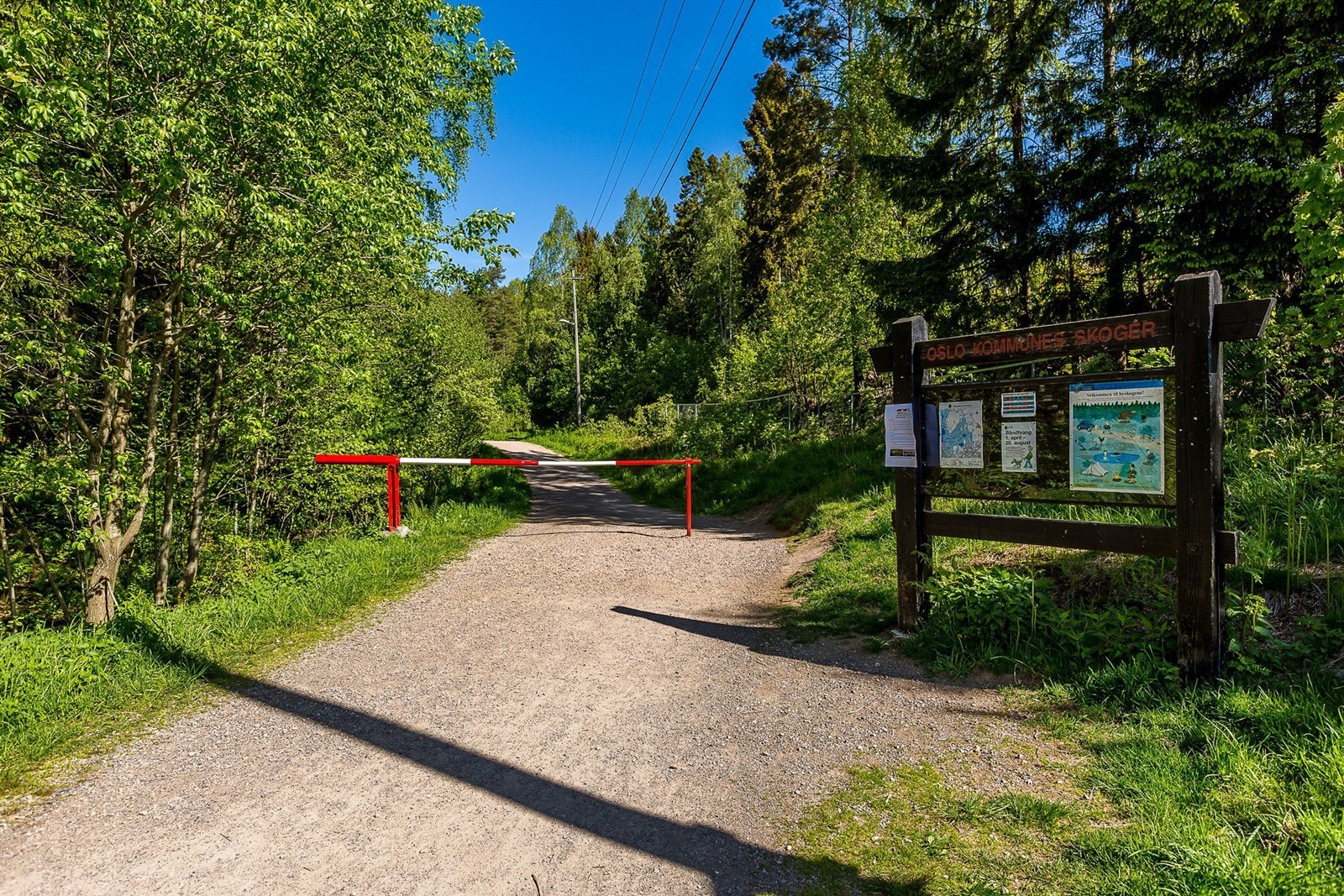 Lillomarka Galleribilde