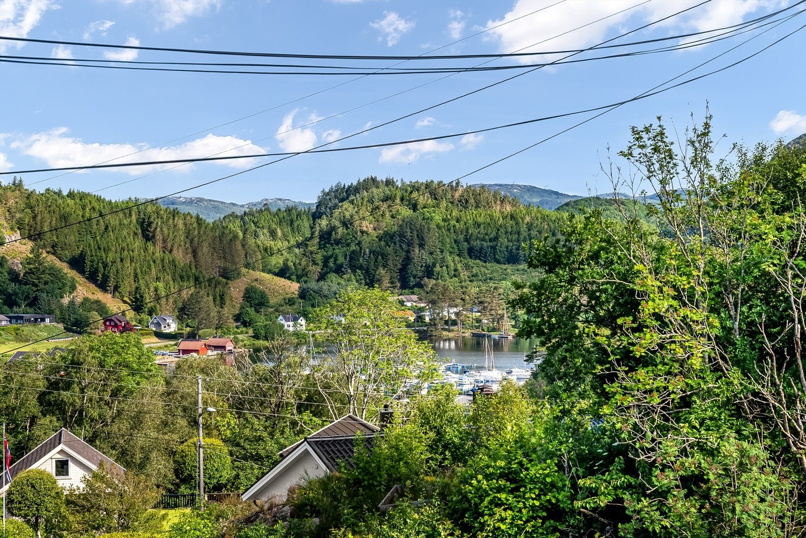 Utsikt fra eiendommen. Galleribilde