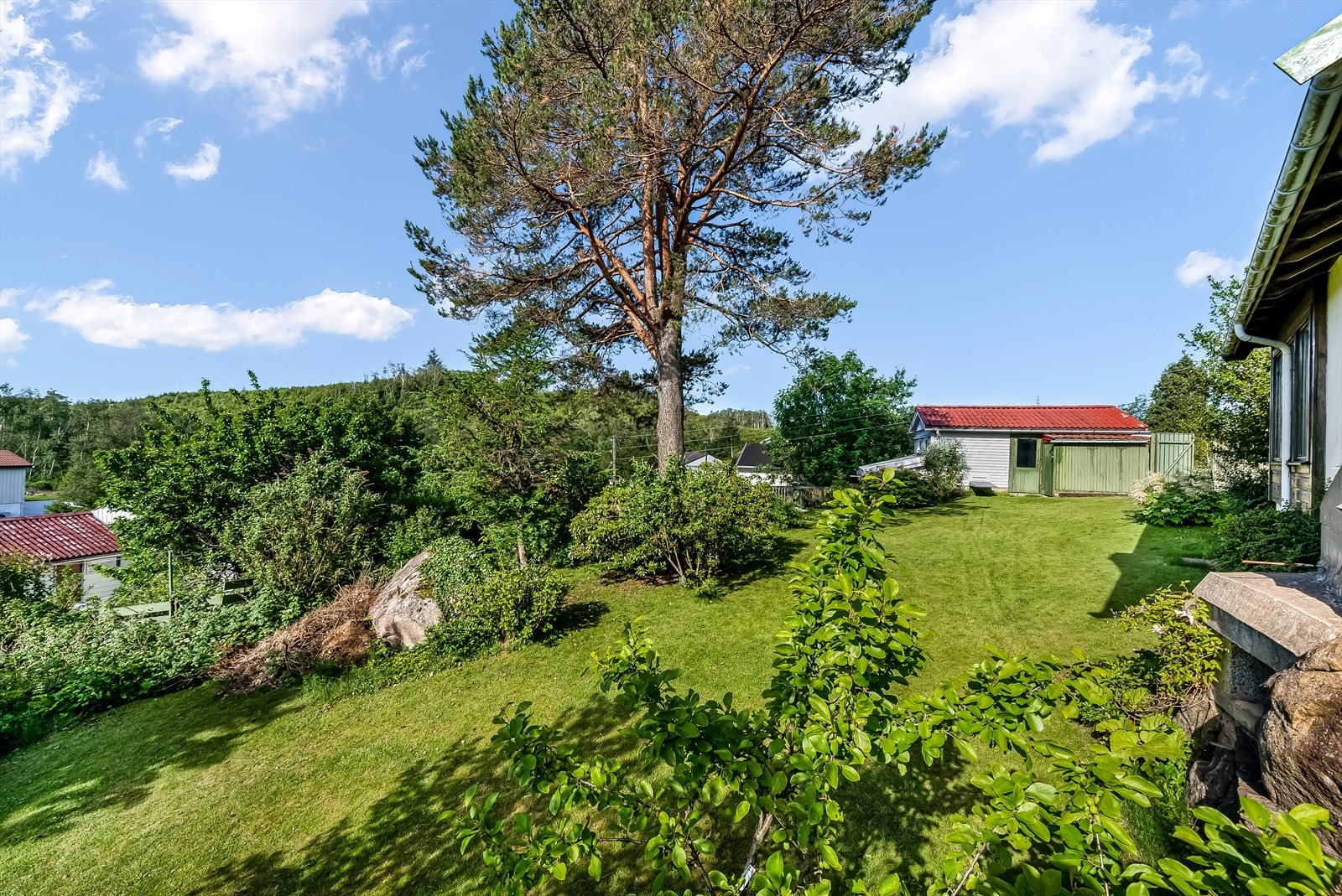 Hagen er et skue med flere fine vekster og plasser hvor man kan nyte sola. Galleribilde