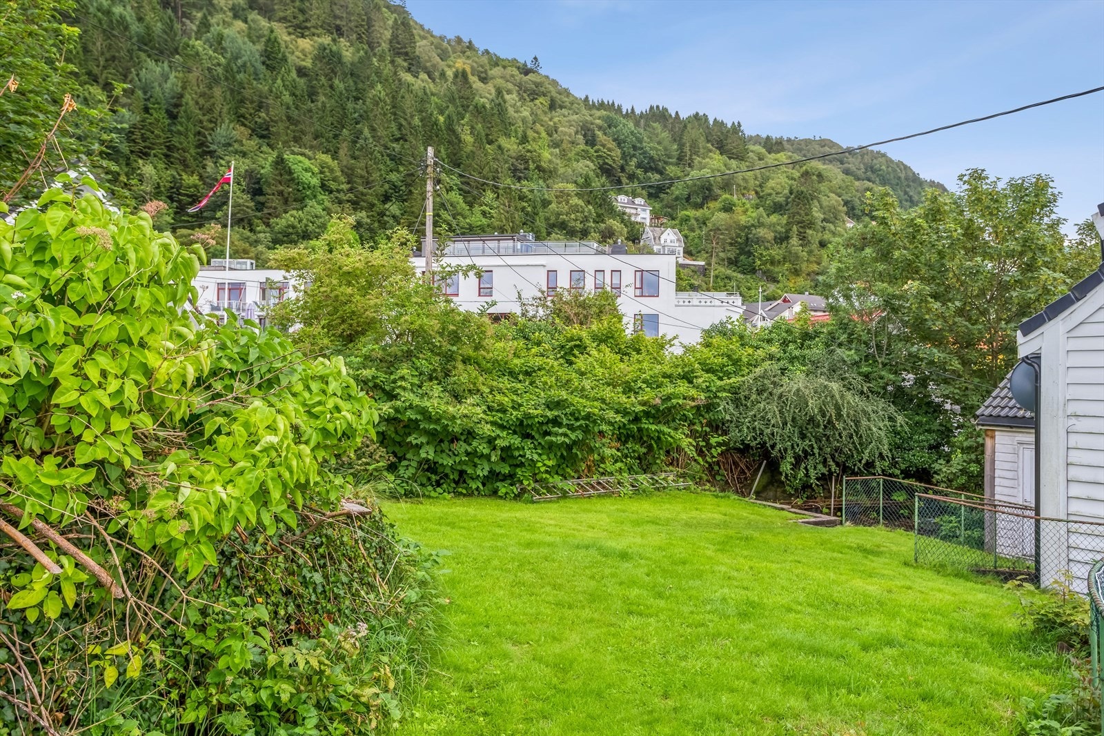 Koselig, felles hage. Galleribilde