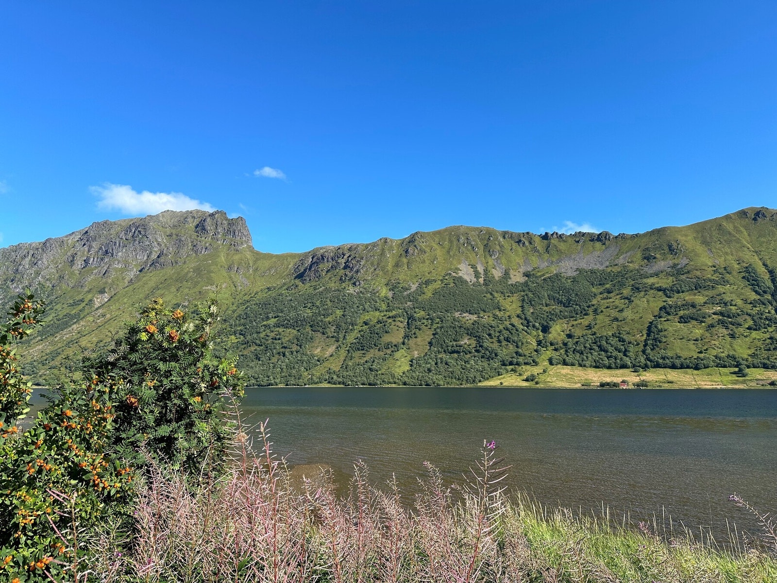 Her har du sola hele dagen! Galleribilde