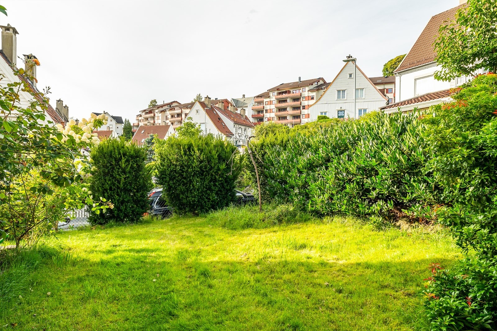 Felles sjarmerende hage, pent opparbeidet med hekk og ulike beplantninger. Galleribilde