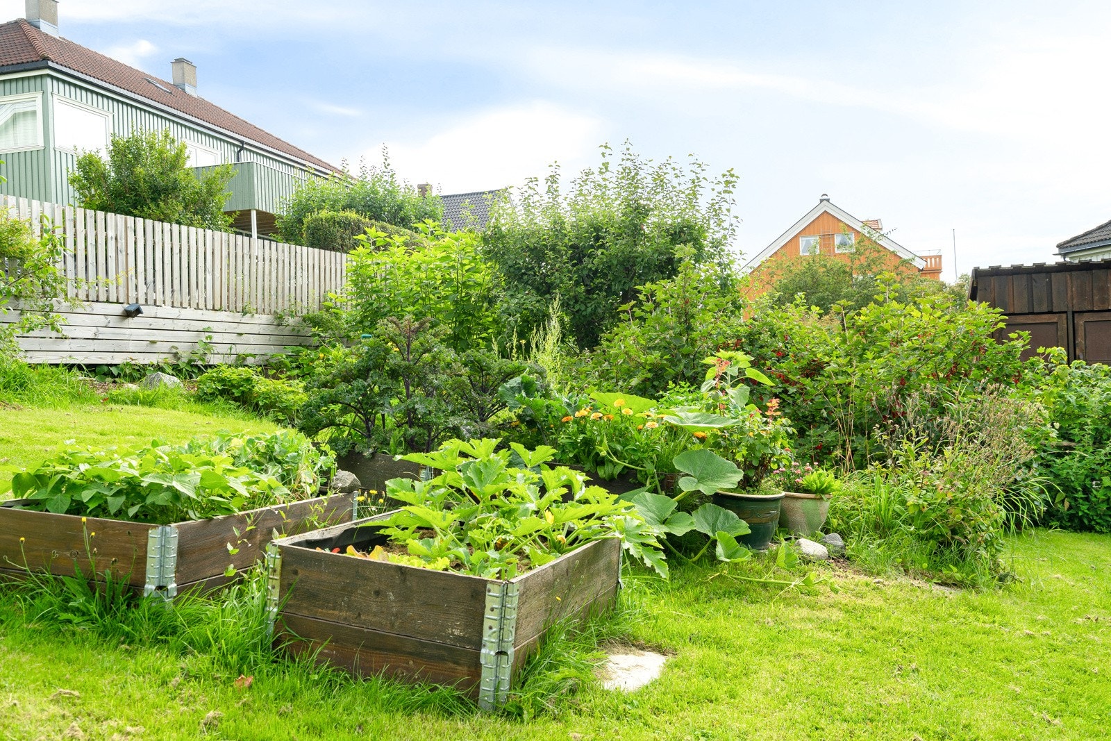 Det er kort vei til både skole, barnhage og dagligvare. Galleribilde