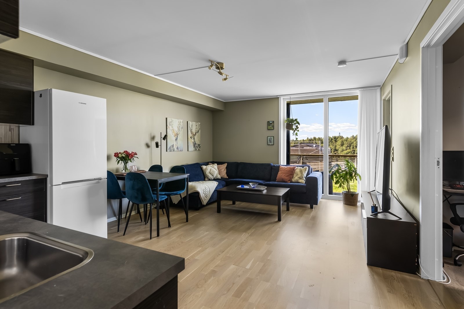 Det bør nevnes at det er egen inngang og inngangsparti, separat hagedel, adskilt parkeringsplass, utsikt og gode solforhold for også leiligheten. Galleribilde