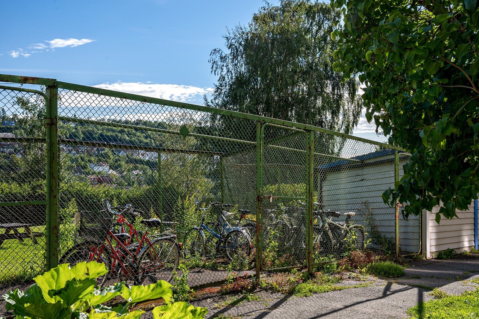 Sykkelparkering - borettslaget har også lagt opp til innendørs sykkelparkering. Galleribilde
