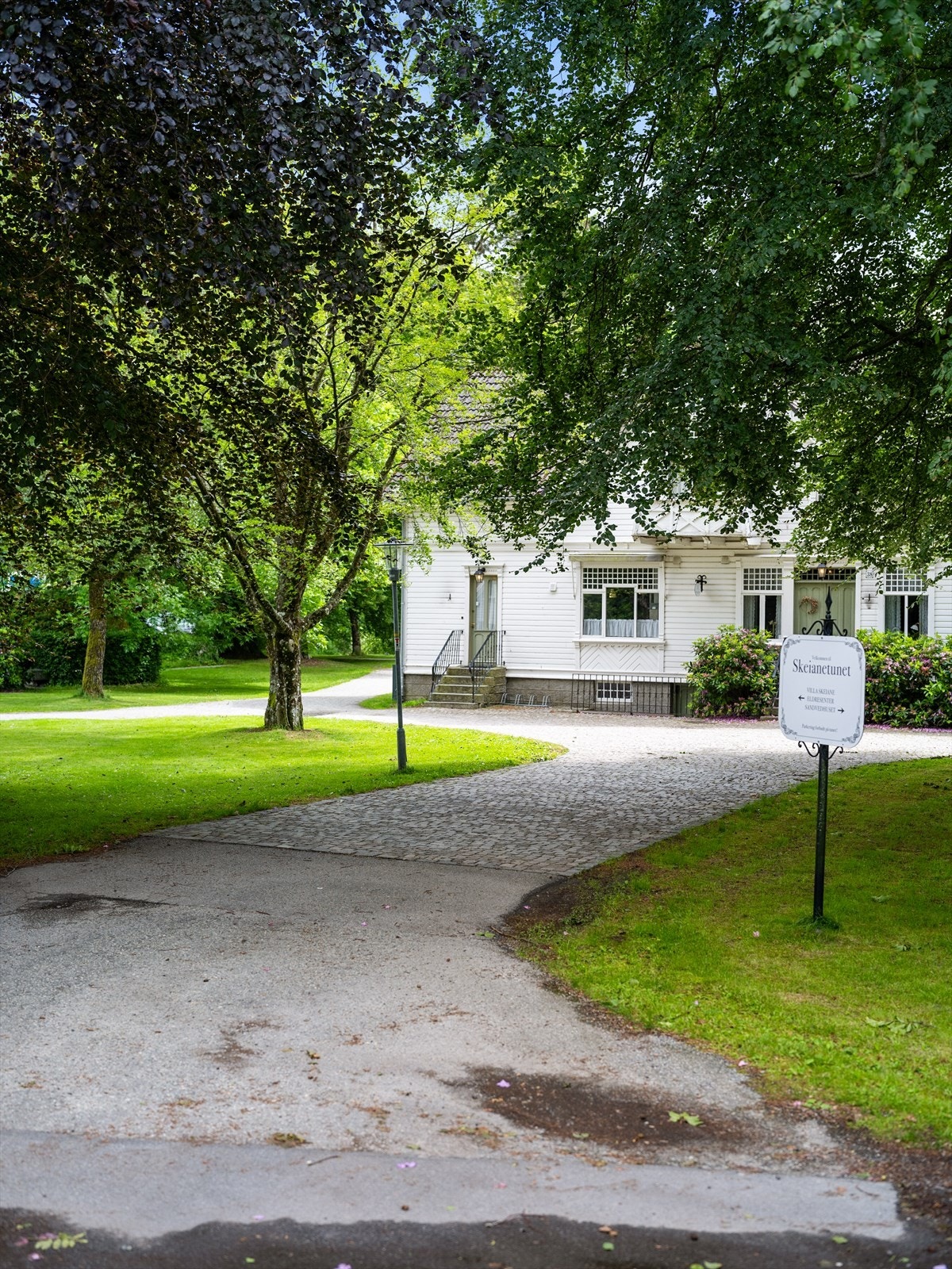 Skeianetunet. Galleribilde