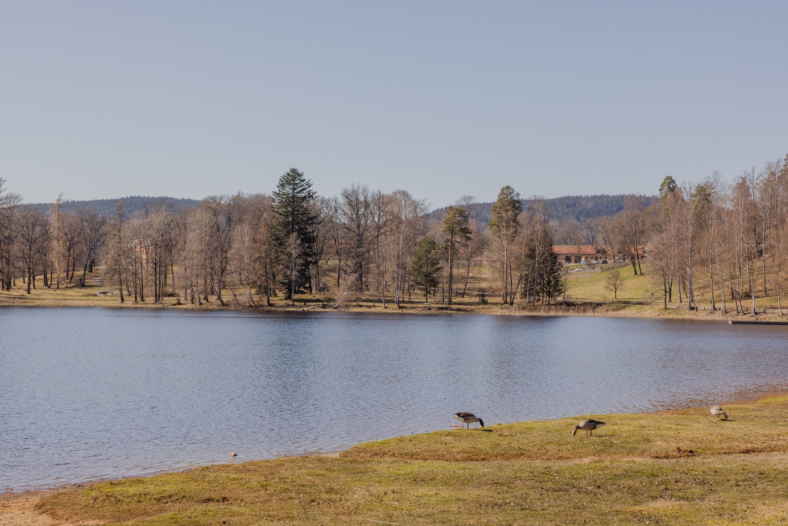 Vakre Bogstad med badeplass og turområde innenfor kort gange fra leiligheten. Galleribilde