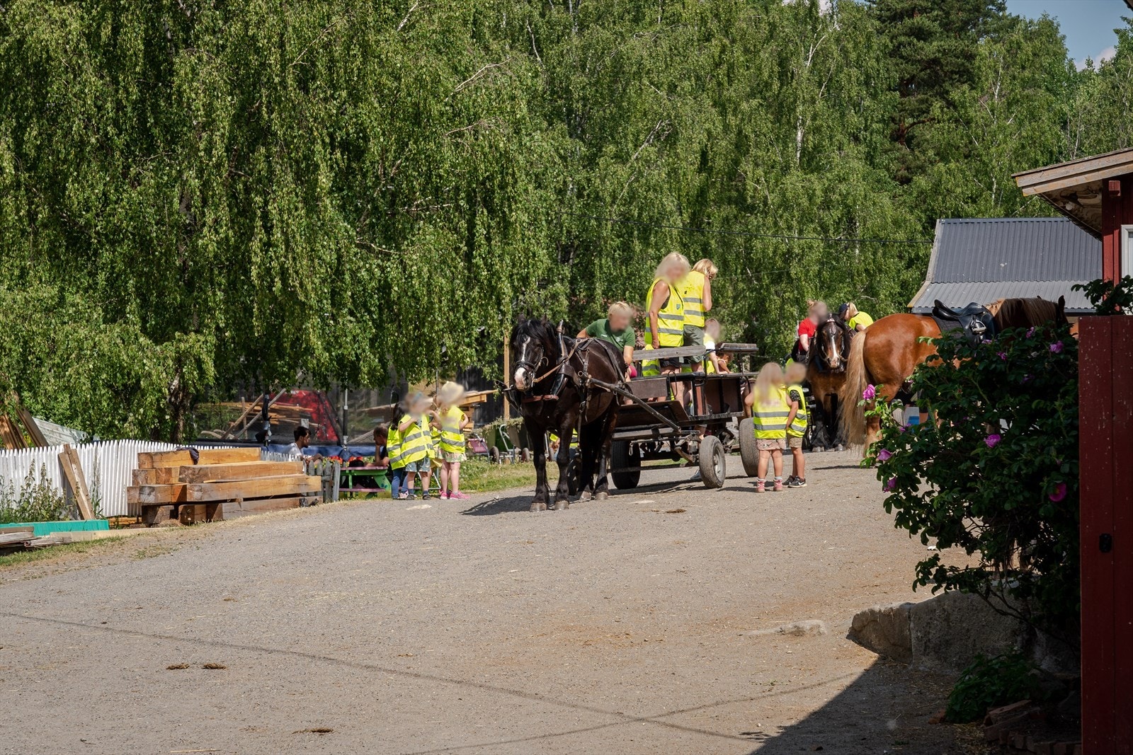 Søndre Ås gård er familiens favoritt - Her vil både de store og små ha det hyggelig sammen. Galleribilde