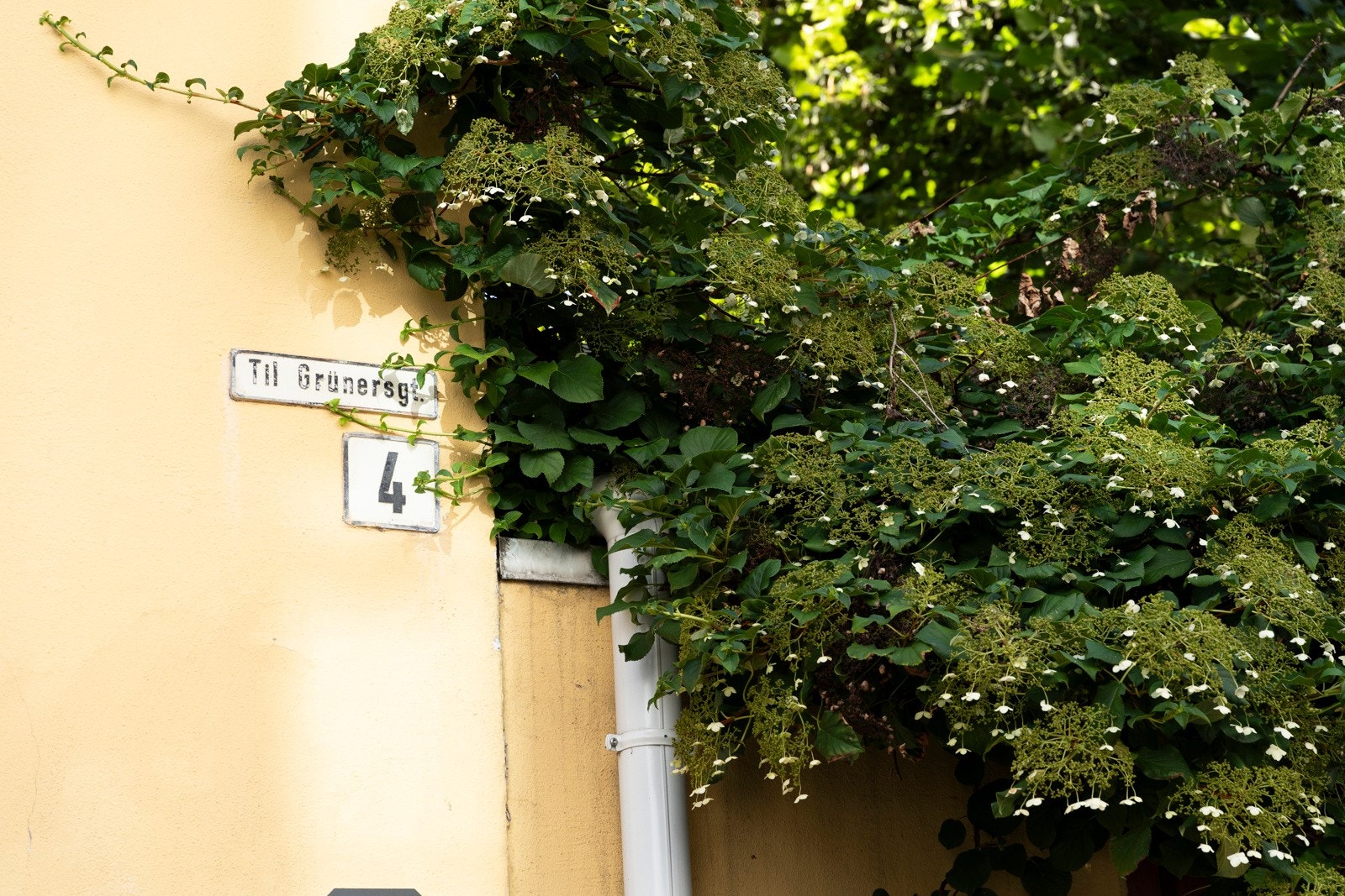 Her vil du bo i et lite veldrevet borettslag med god vedlikeholdshistorikk. Galleribilde