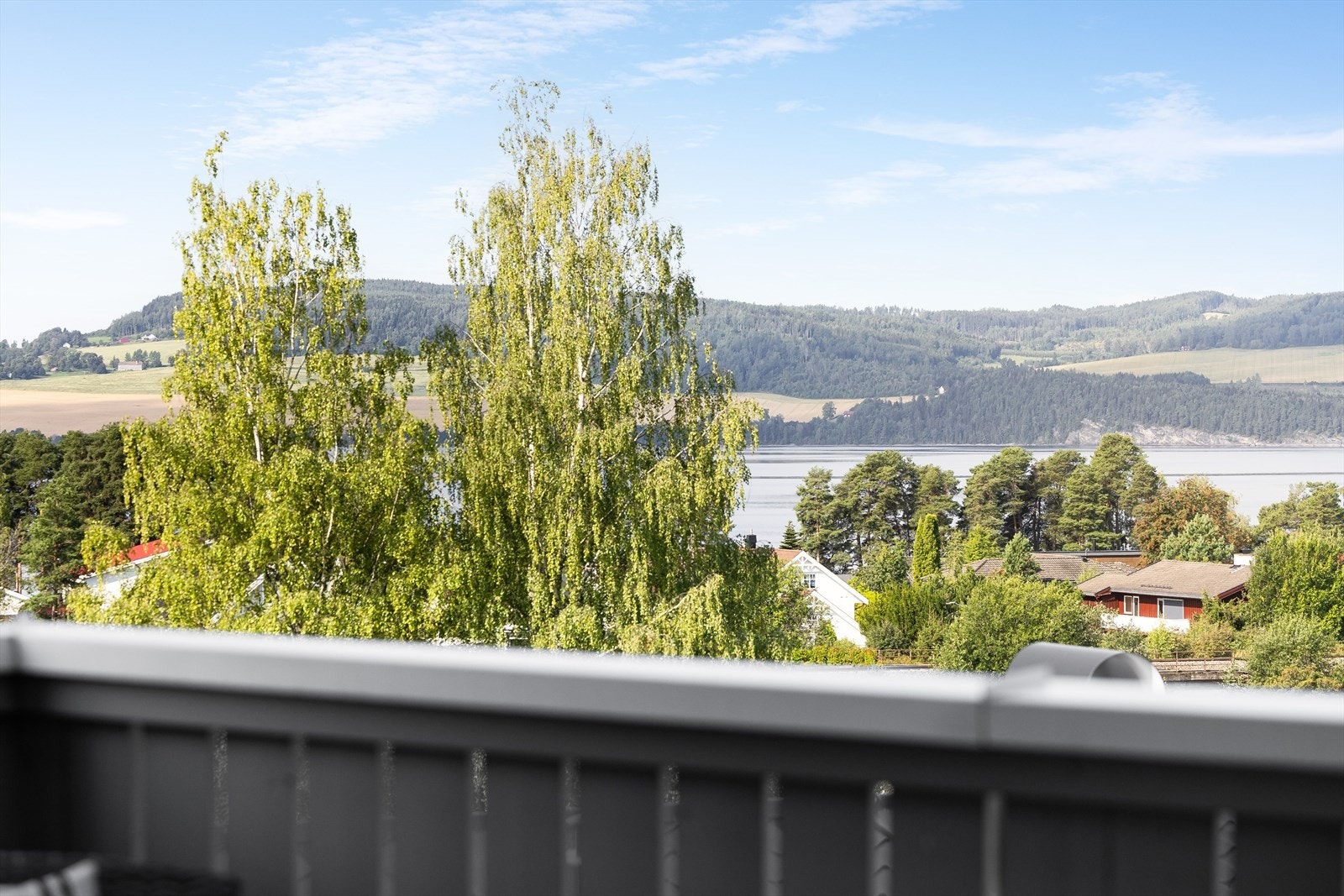 Her sitter du høyt, fritt og usjenert med fin utsikt mot Mjøsa. Galleribilde