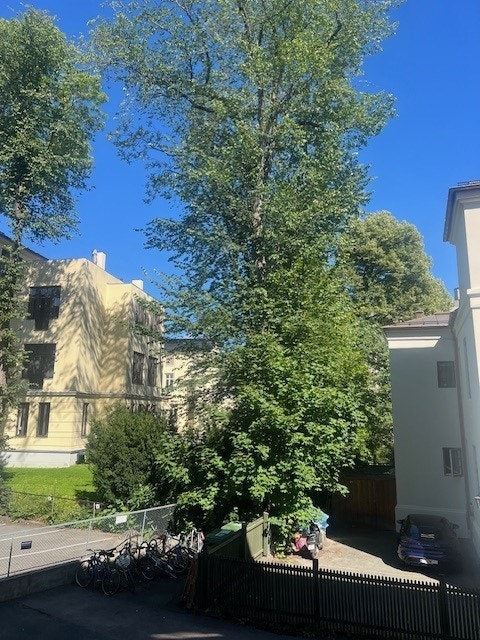 Leiligheten vender ut mot bakgårdsrom (bilde: privat) Galleribilde