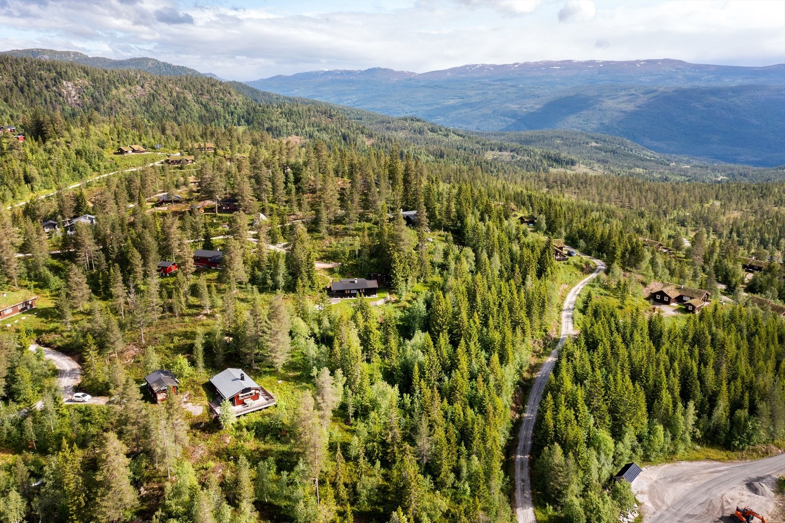 Dersom man er glad i bær og sopp kan dette finnes i rikelige mengder i området. Galleribilde