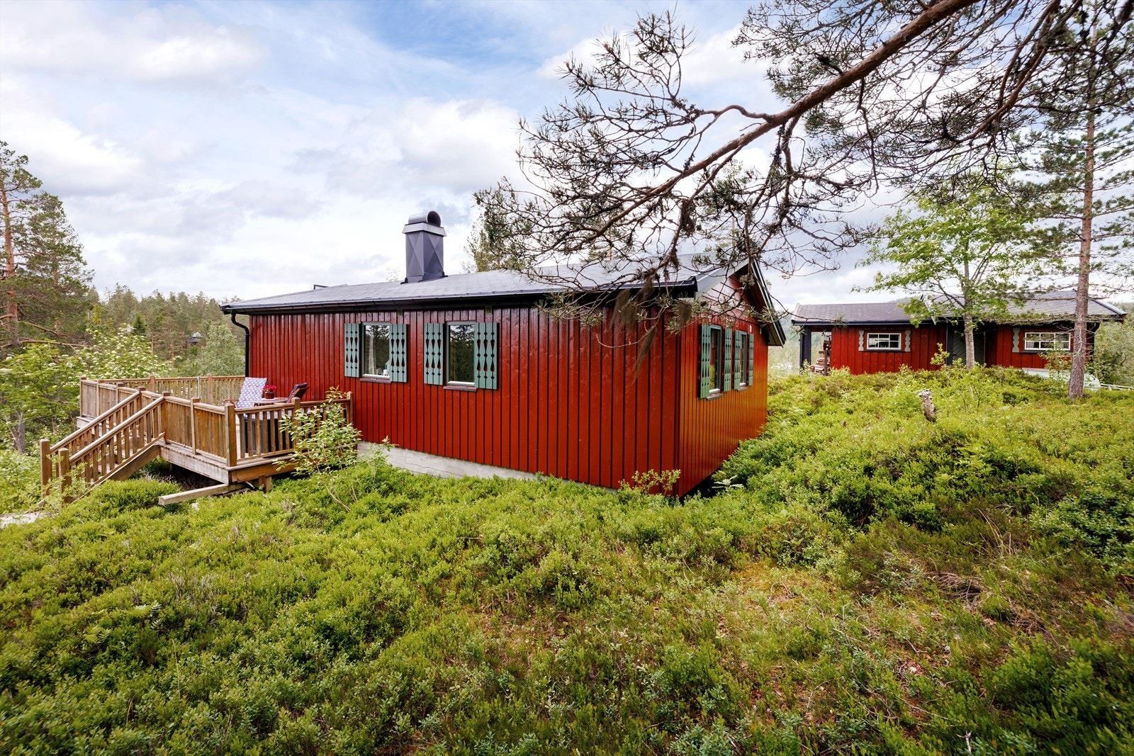 Tomten rundt hytta har naturlig vegetasjon. Galleribilde