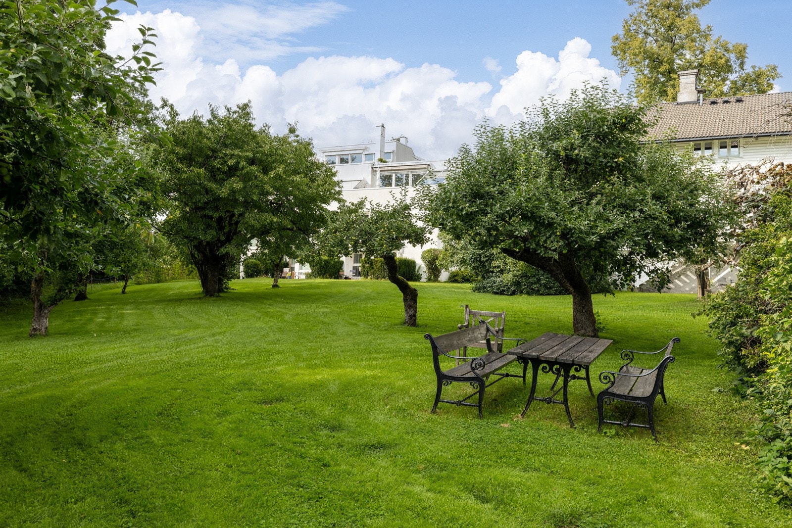 52-3 Galleribilde