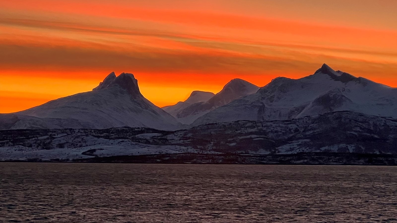 Privat foto Galleribilde