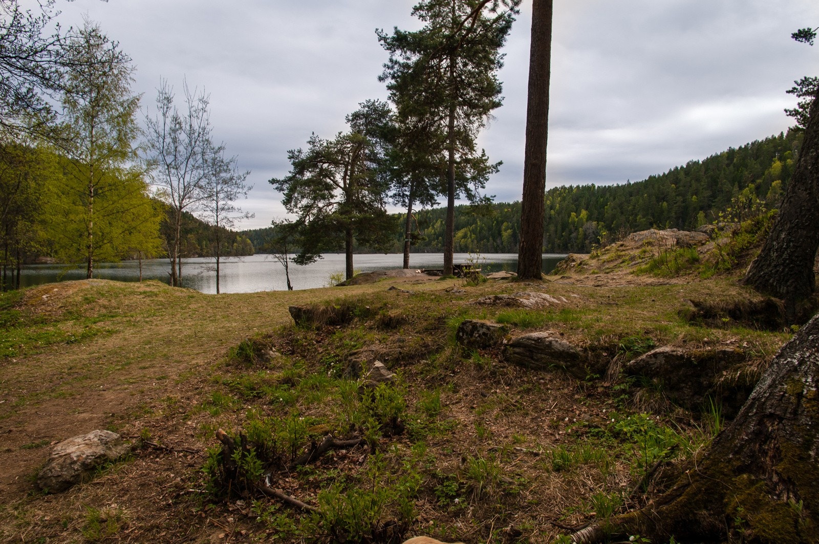 Kort vei til idylliske Lutvann Galleribilde
