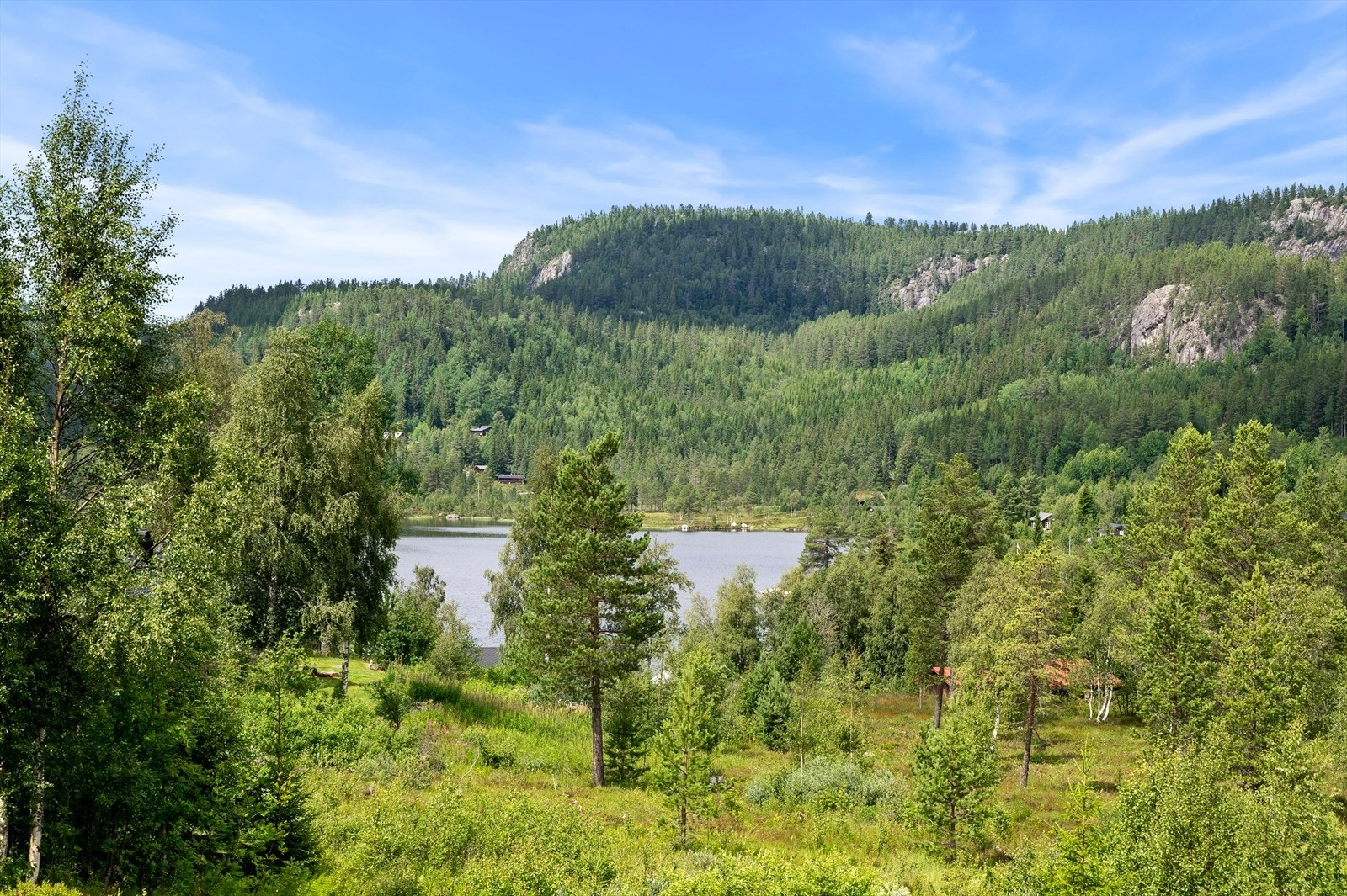 Fin utsikt ned mot Laugekilen. Galleribilde