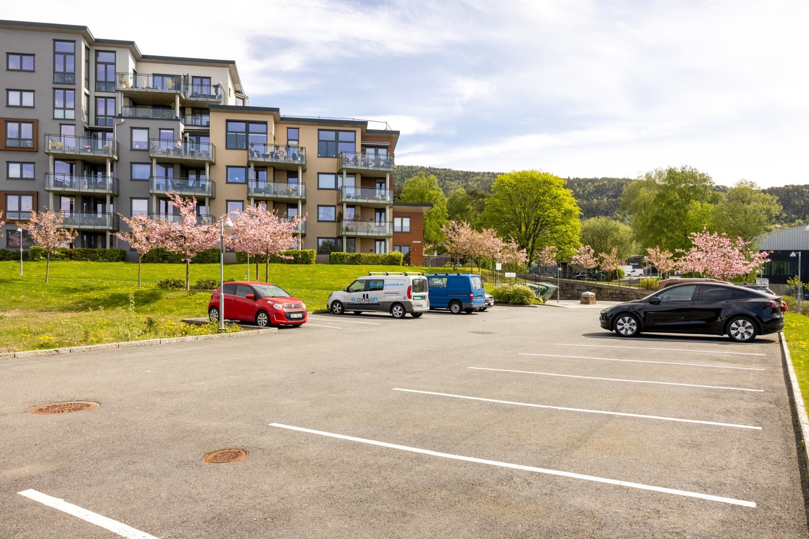 Parkeringsplass for gjester på borettslagets eiendom - Rikelig med plass. Galleribilde