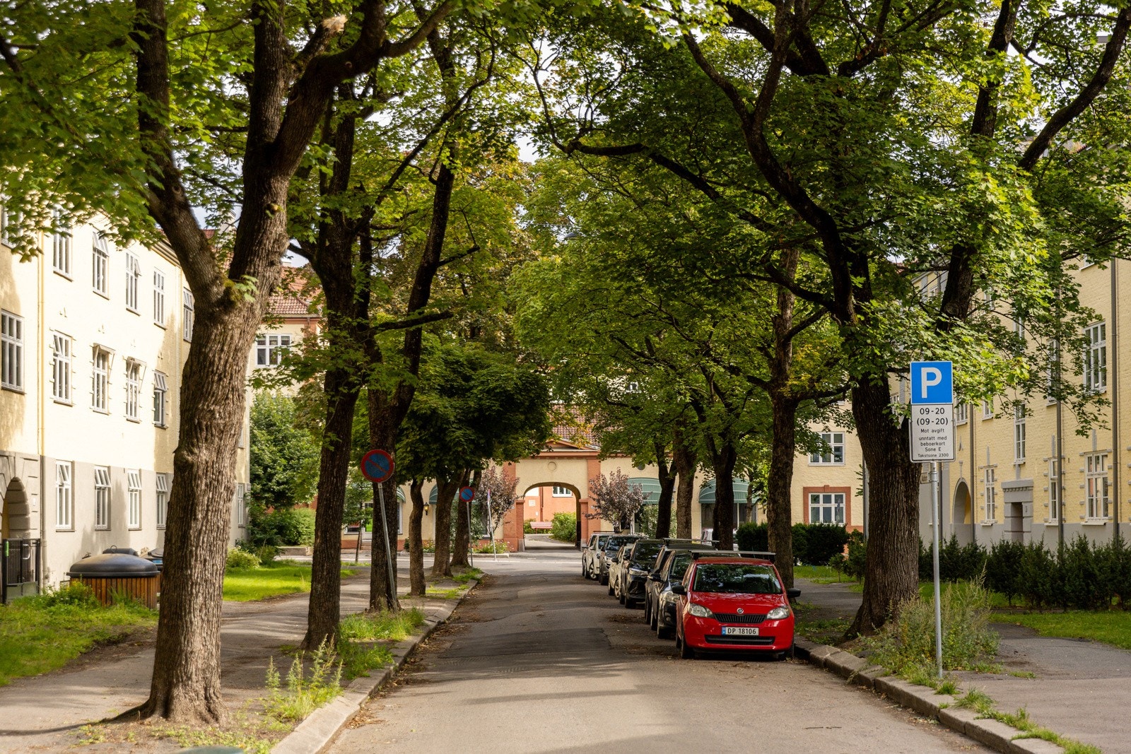 Nydelieg Edmund Neuperts gate med sin allé med trær. Galleribilde