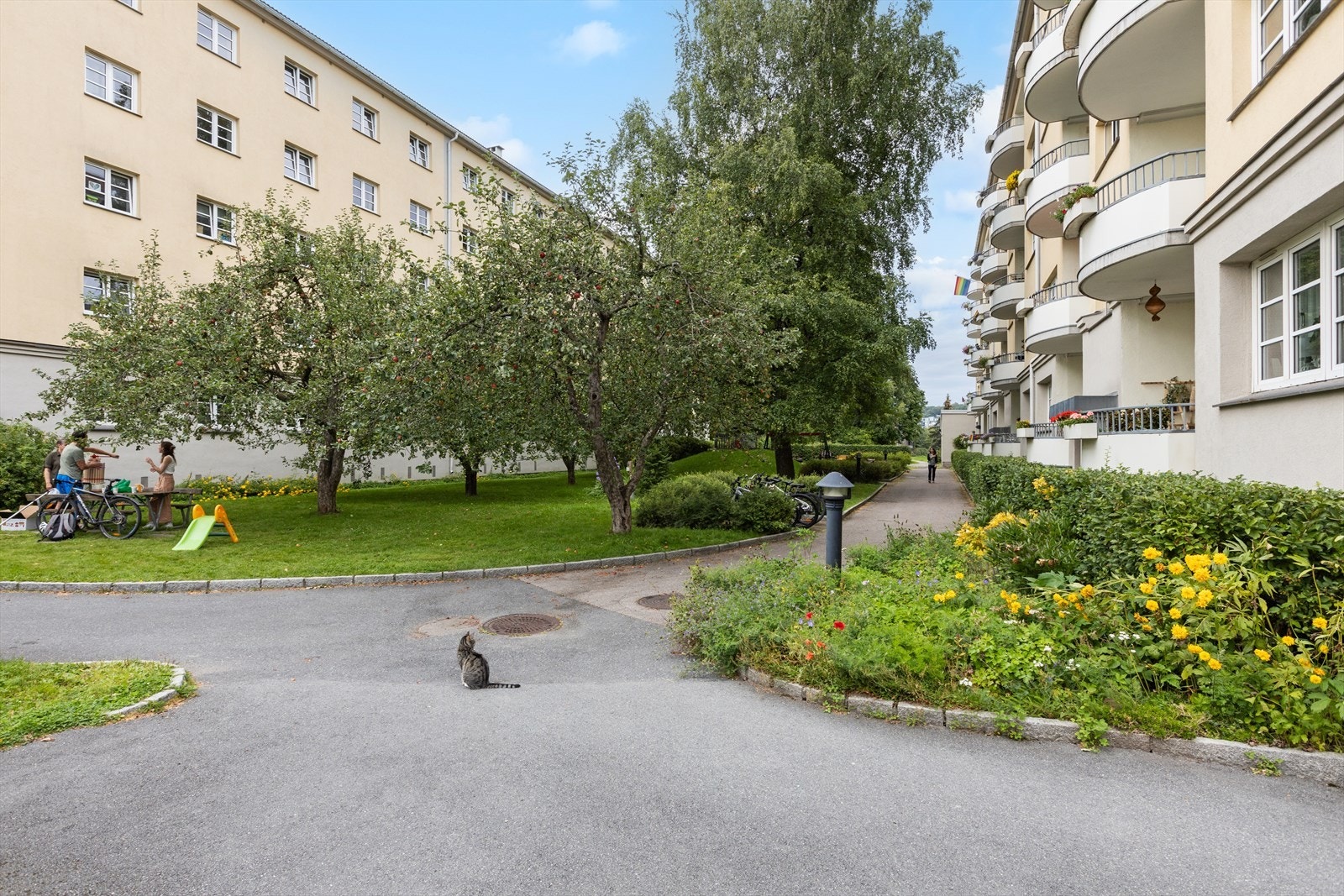 Brochmanns gate 14A tilhører et veldrevet og hyggelig borettslag med flotte uteplasser. Galleribilde