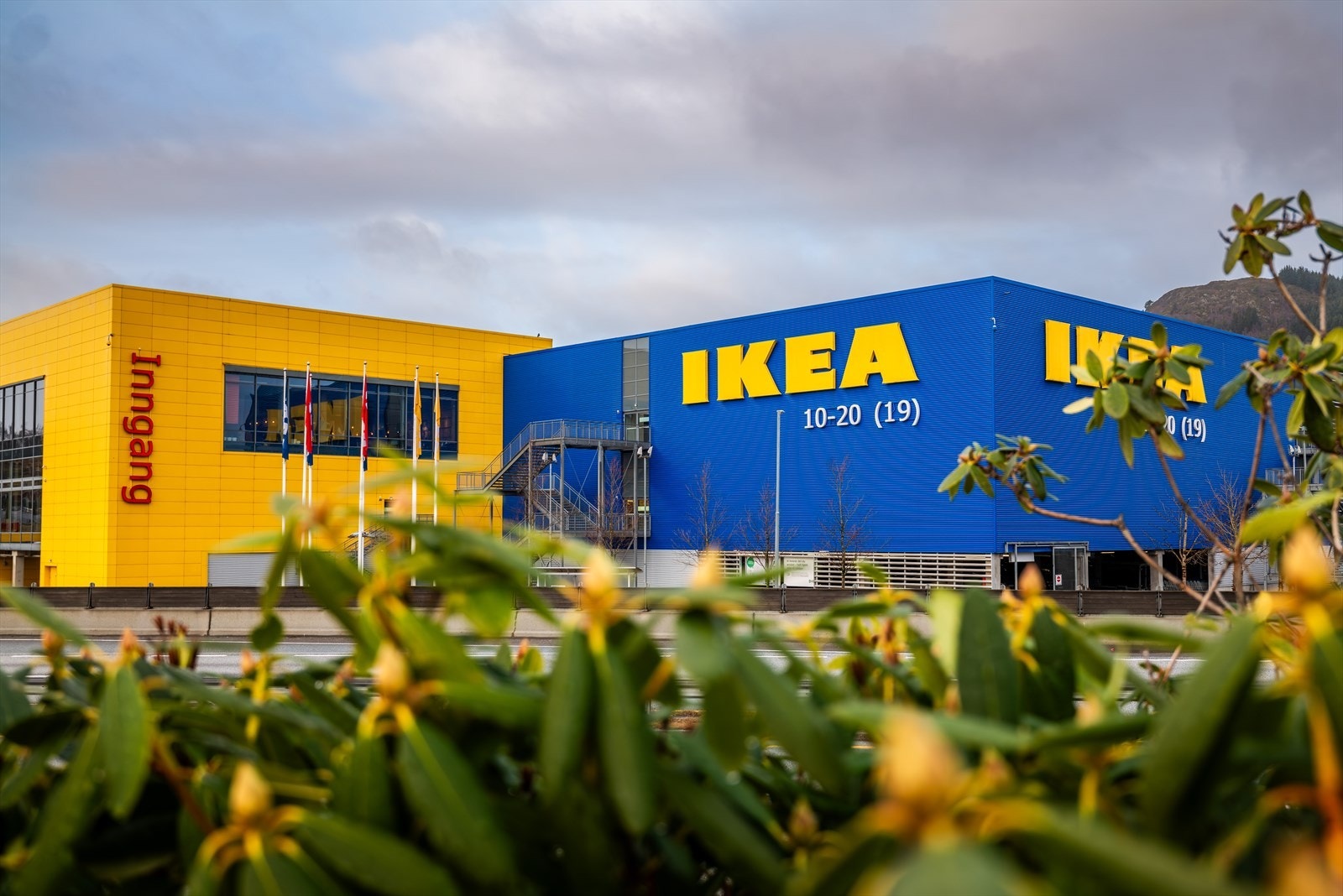 Fem minutters spasertur til Åsane Senter, IKEA og Gullgruven kjøpesenter med ytterlige servicetilbud. Galleribilde