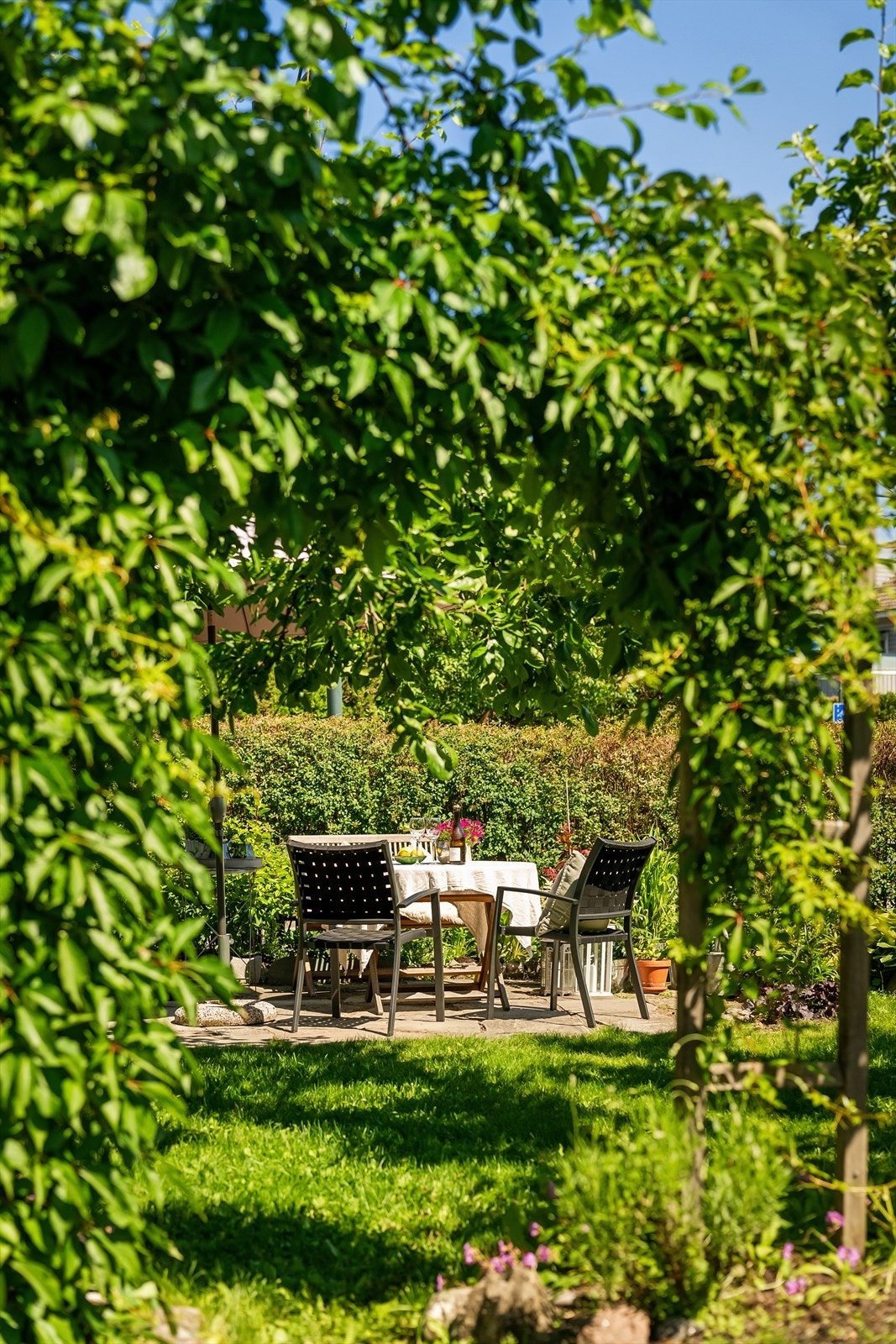 Leiligheten har en privat, stor solrik hageparsell med plen, frukttrær og platting. Galleribilde