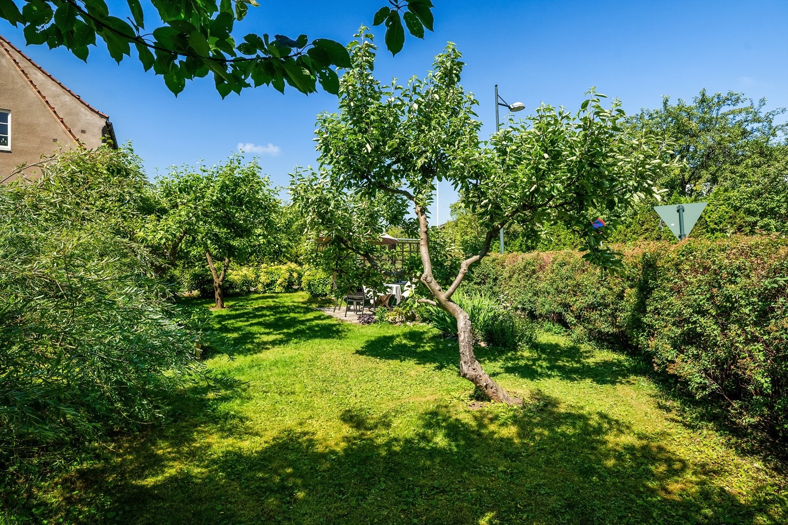 den private hagen er frodig med mye boltringsplass Galleribilde