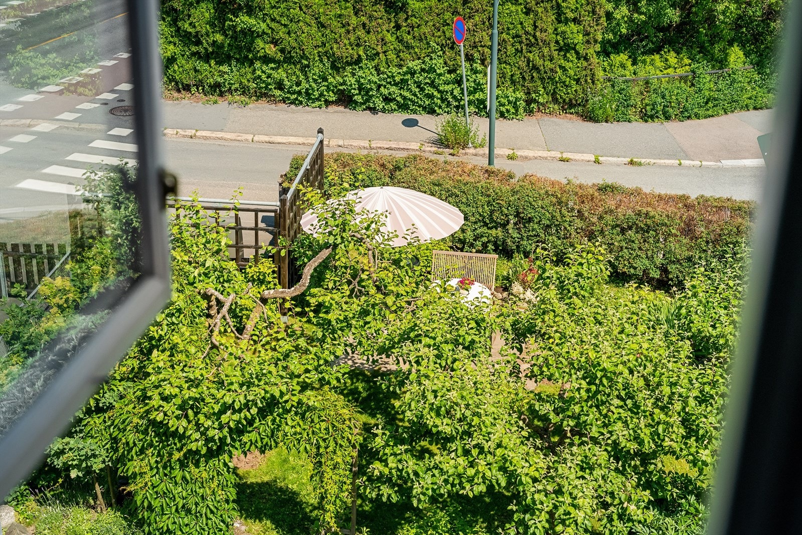 Utsikt fra loft ned mot frukttrærne i den private hagen Galleribilde